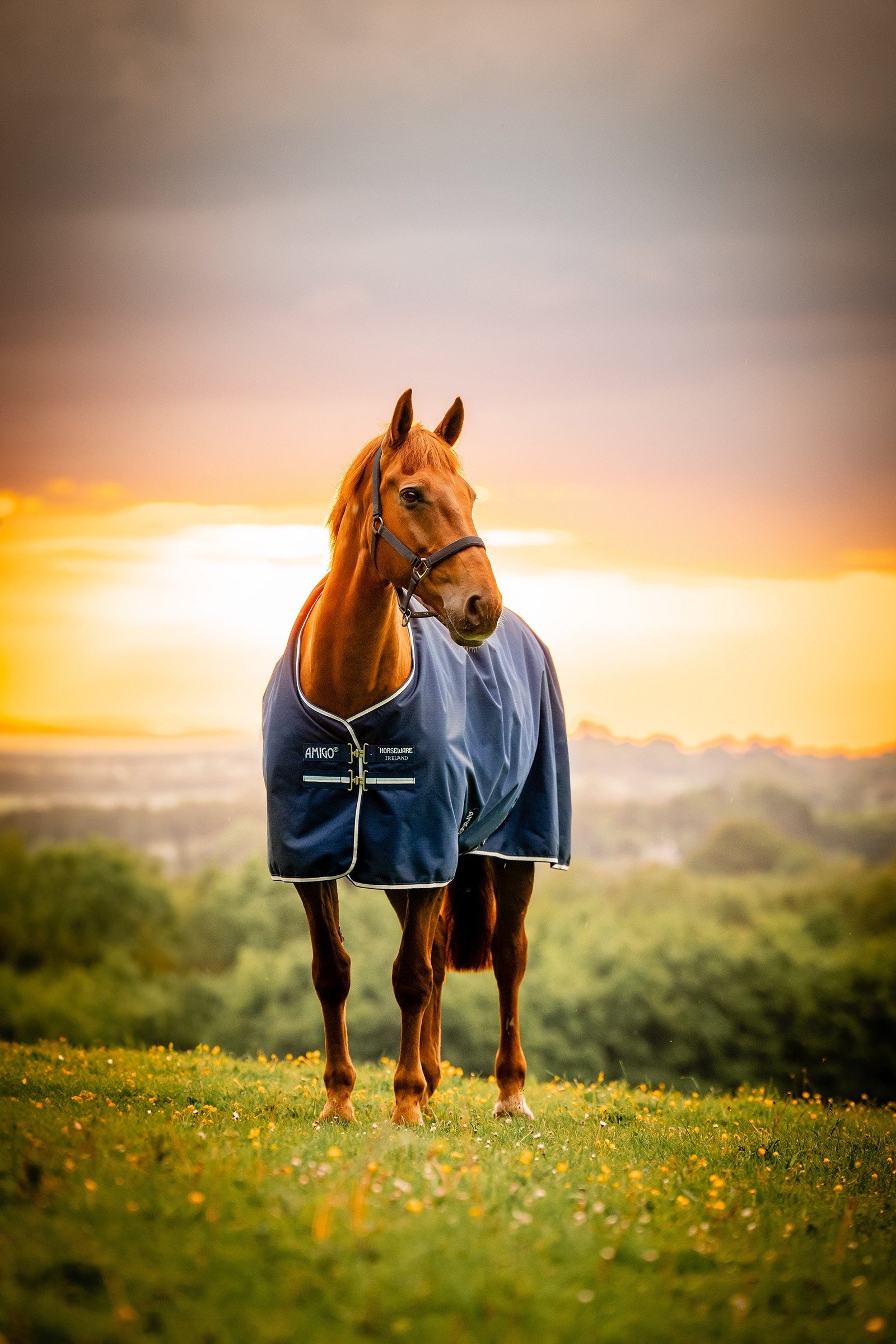 Witney Navy Horseware Amigo Ripstop 900D utet&auml;cke med fleecefoder, 50 g