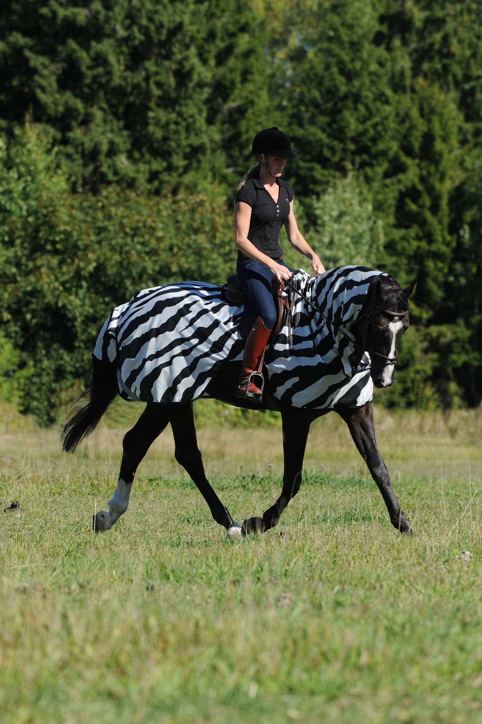Buzz-Off Riding Zebra täcke
