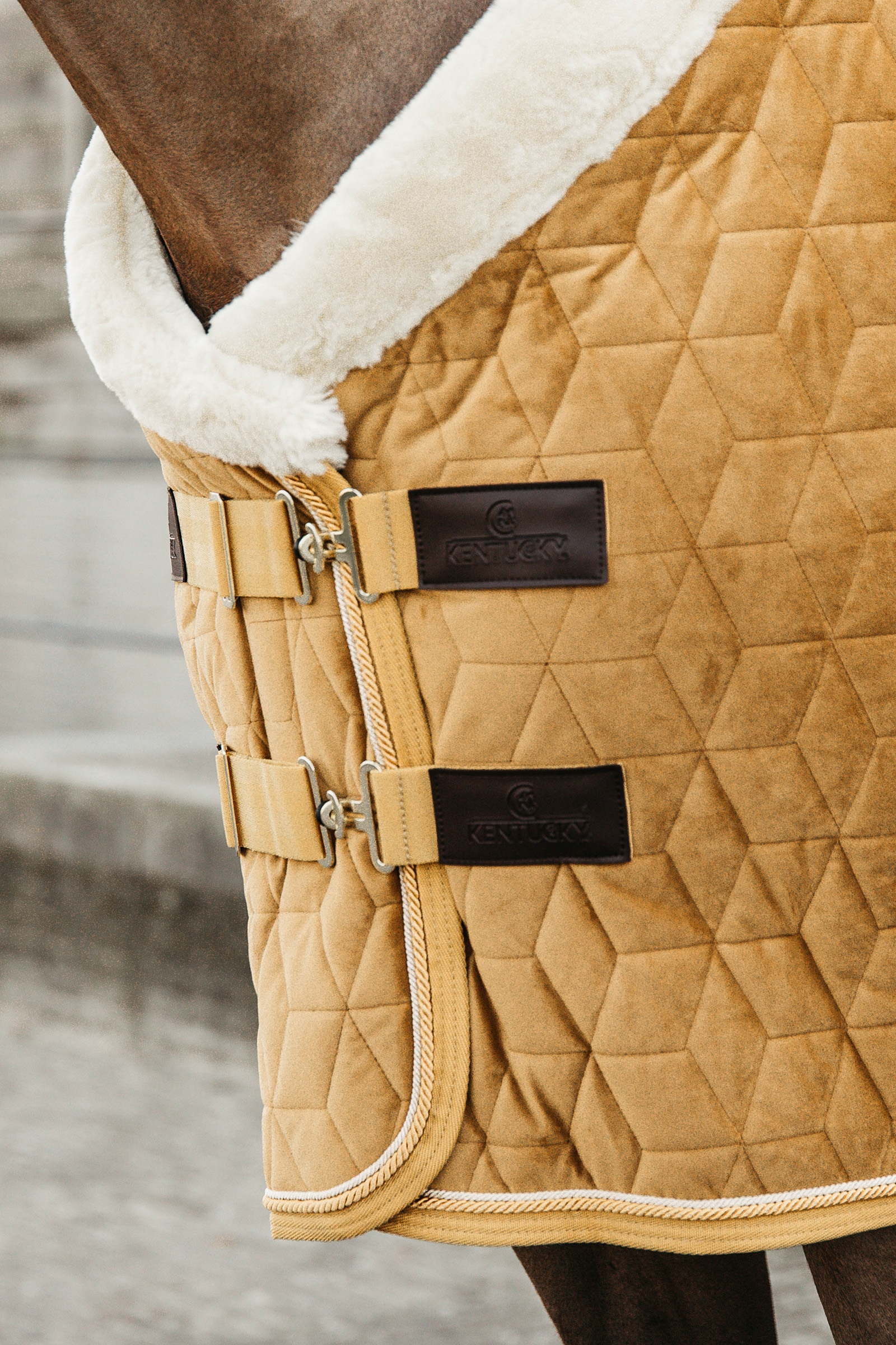 Kentucky Velvet Show Rug t&auml;cke, 160g