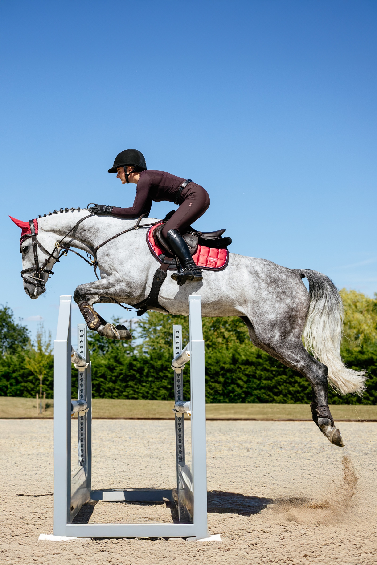 LeMieux Loire Square CC Hoppschabrak