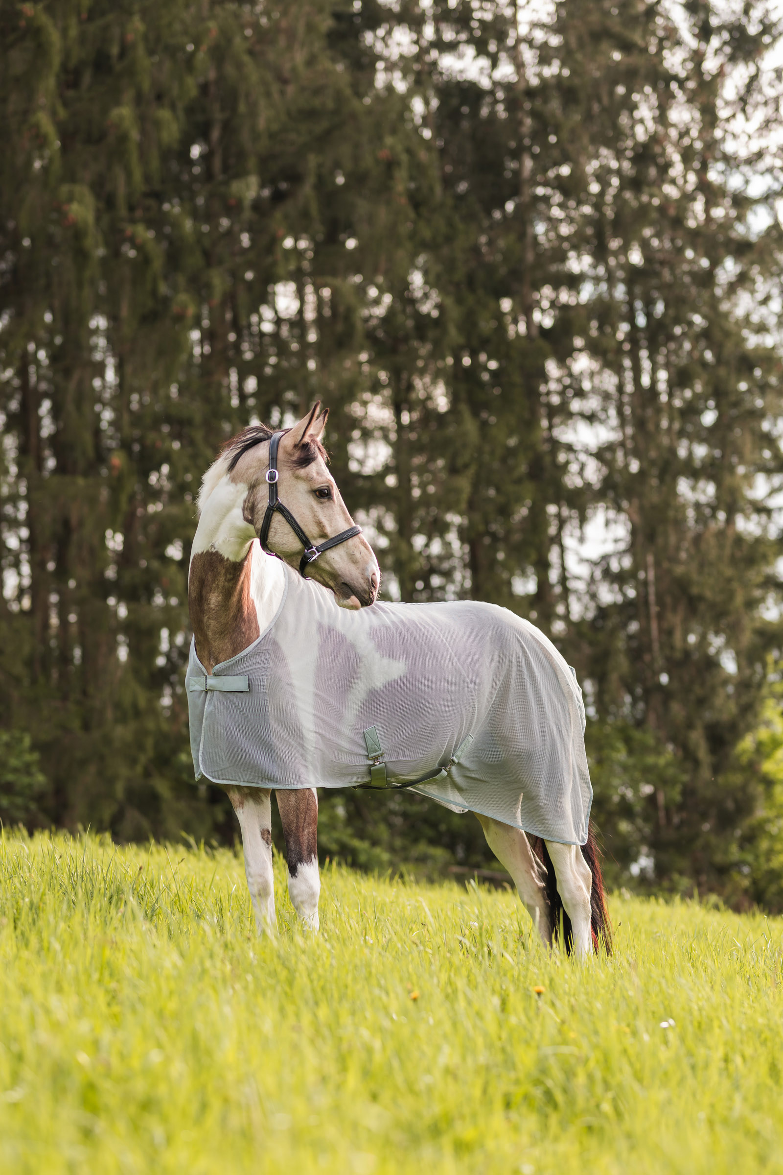 Horze Orleans flugt&auml;cke