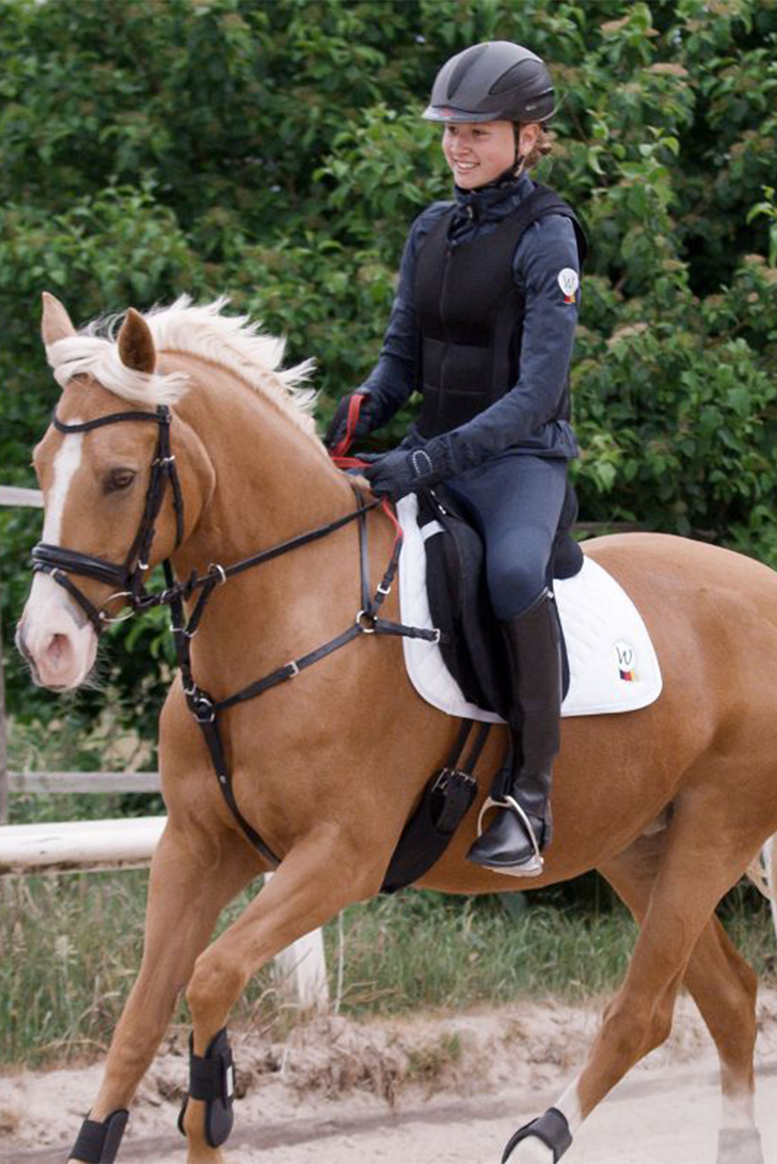 Waldhausen Secutrust Bröstplatta med säkerhetsbetar