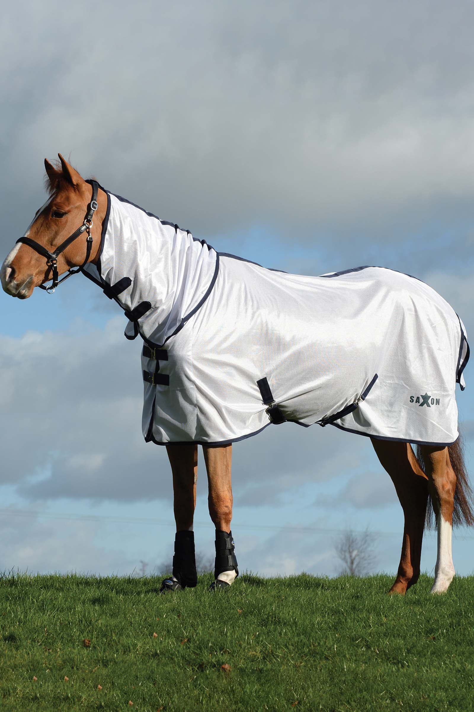 Saxon Mesh Combi täcke med fast halstäcke