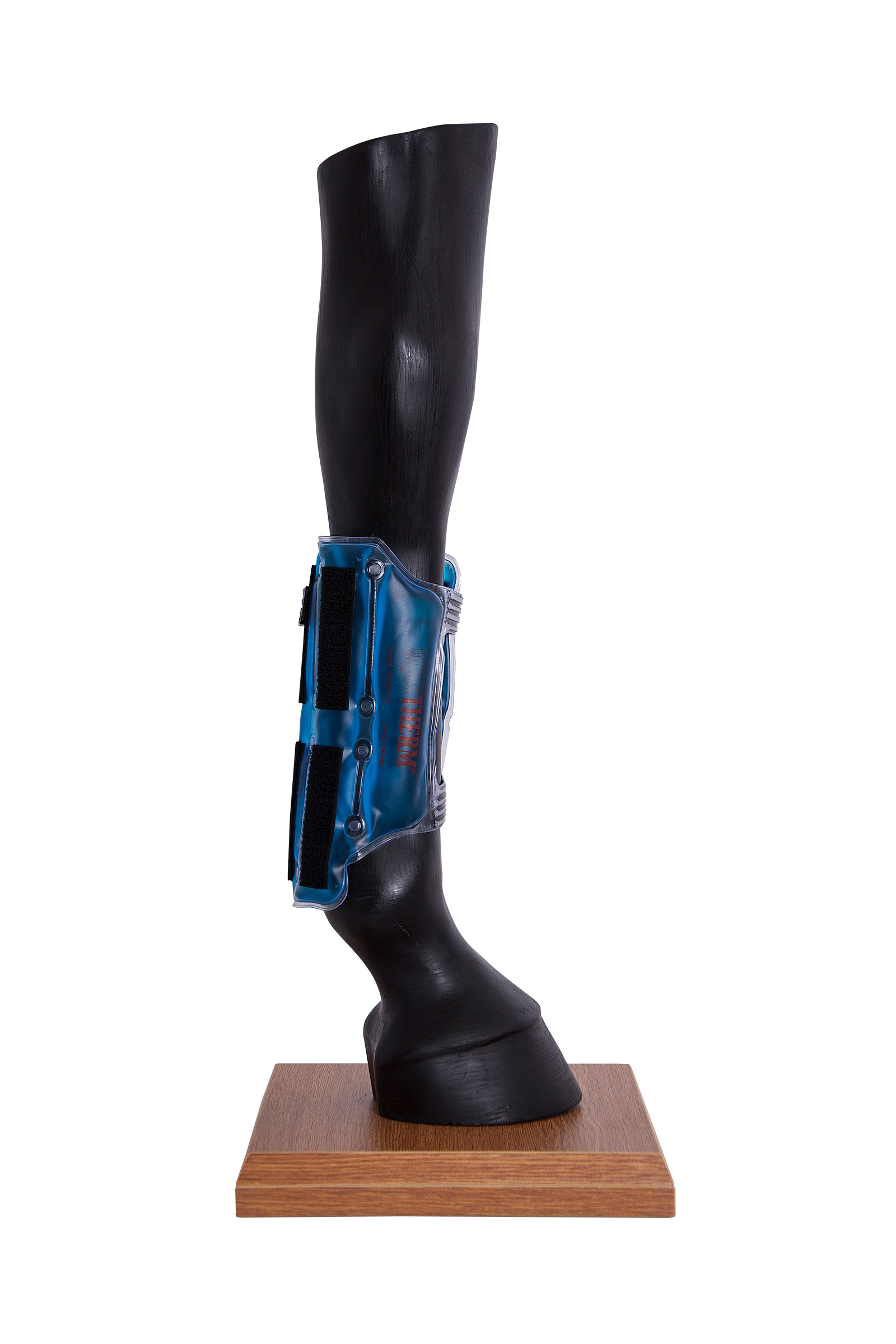 Stassek Equitherm Linda med kardborrband