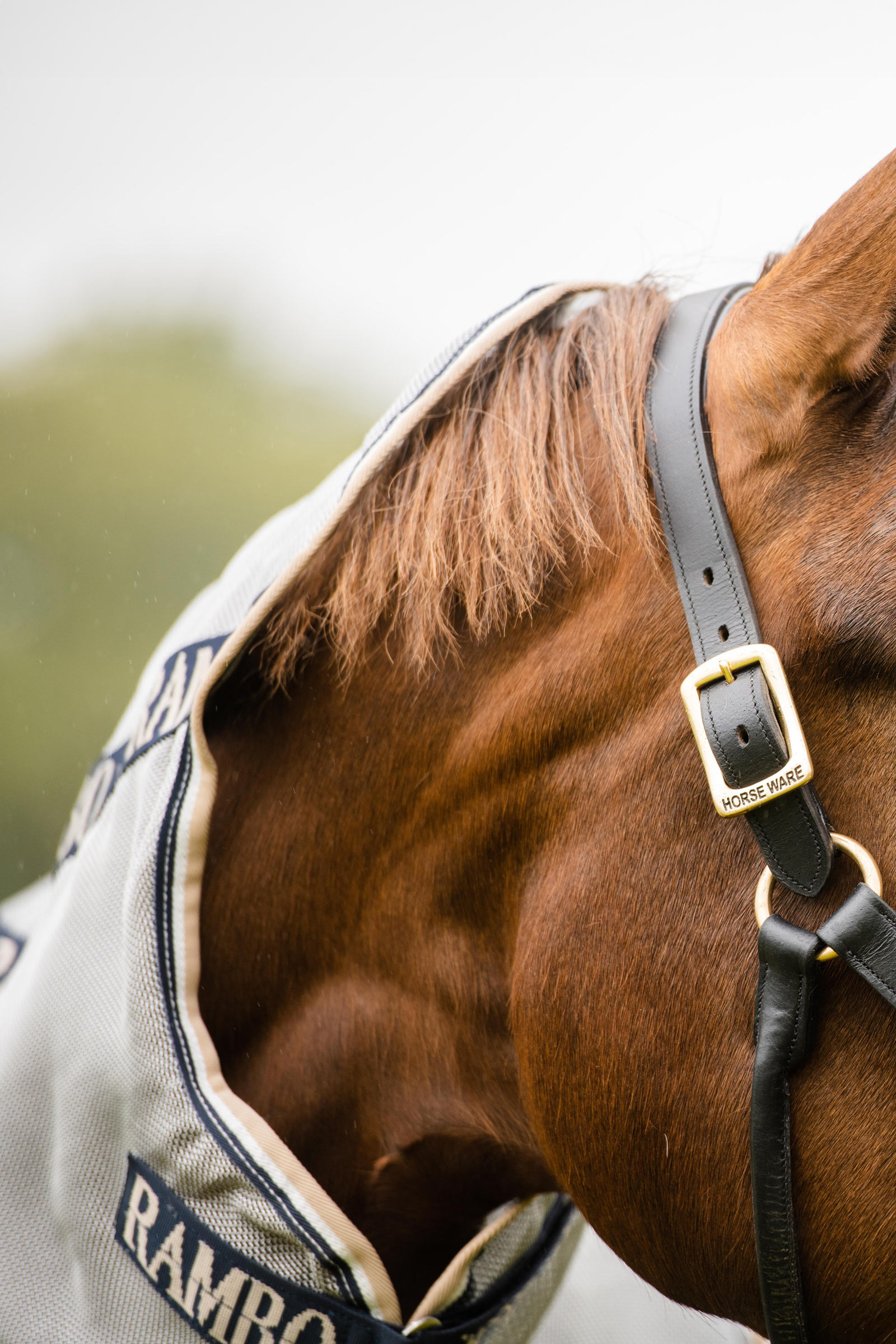 Horseware Rambo Protector flugtäcke med avtagbar hals