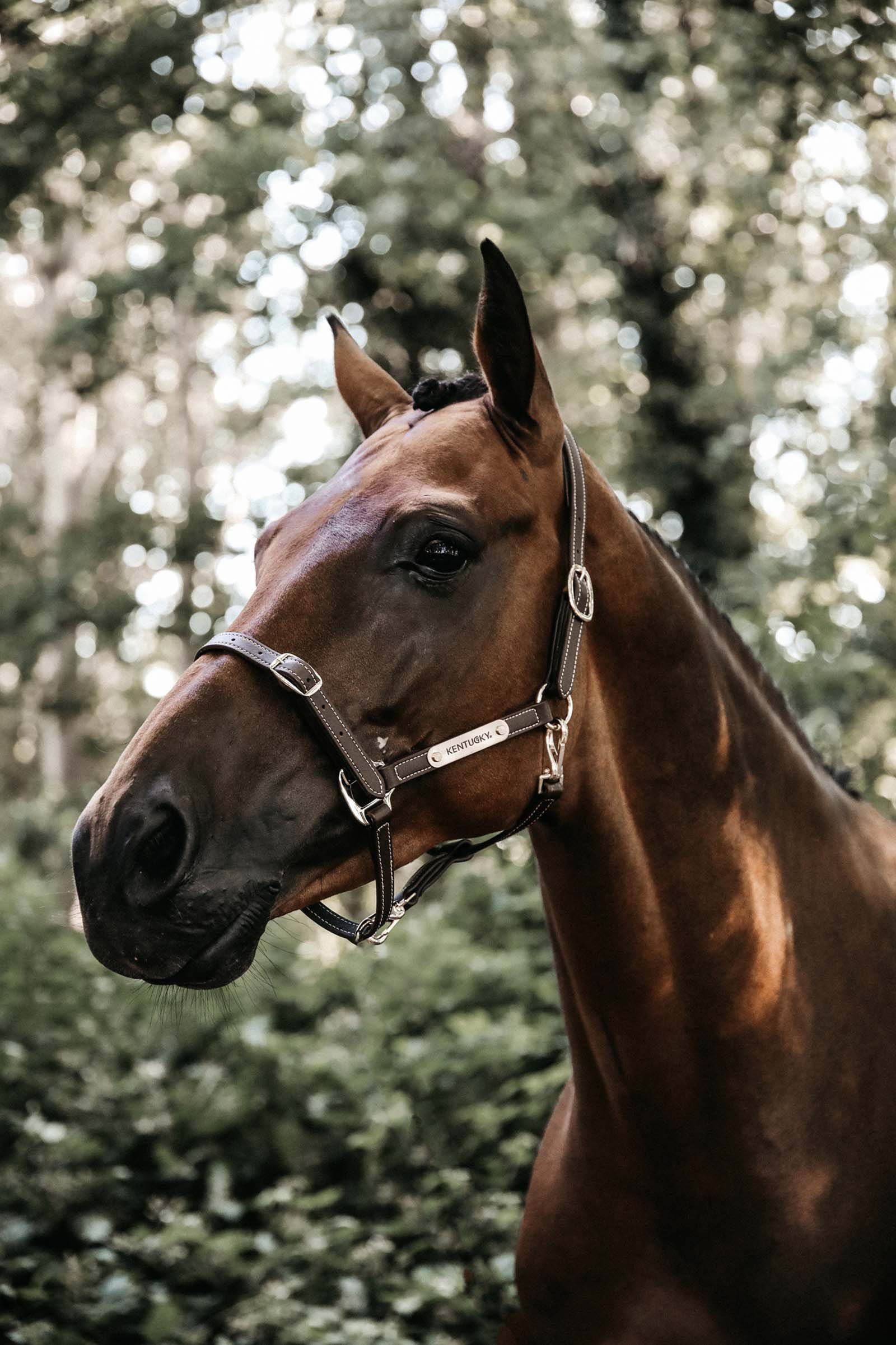 Kentucky Horsewear flexibel lädergrimma nackstycket