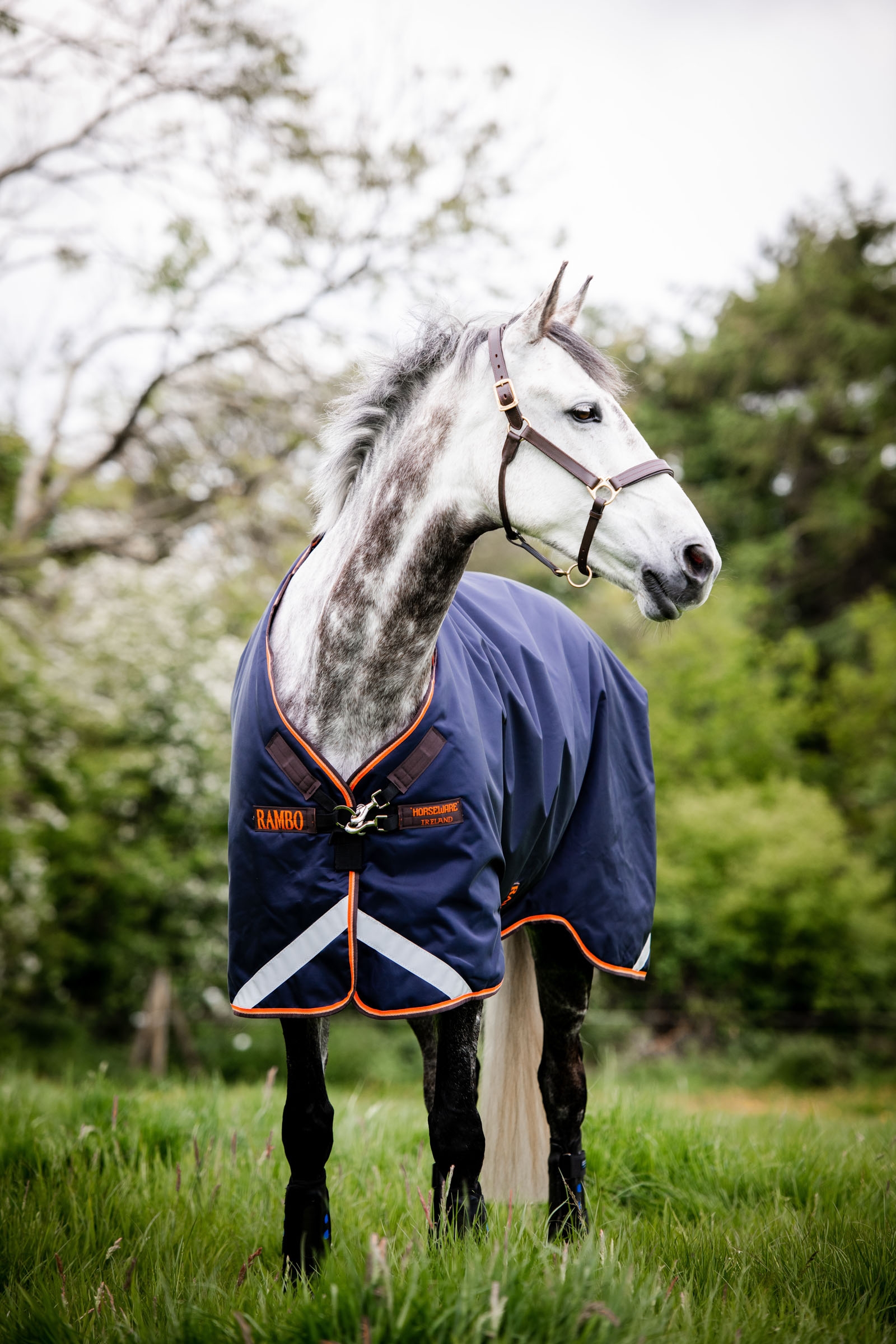 Horsebo Rambo Original Turnout Utetäcke med benbågar, 100g