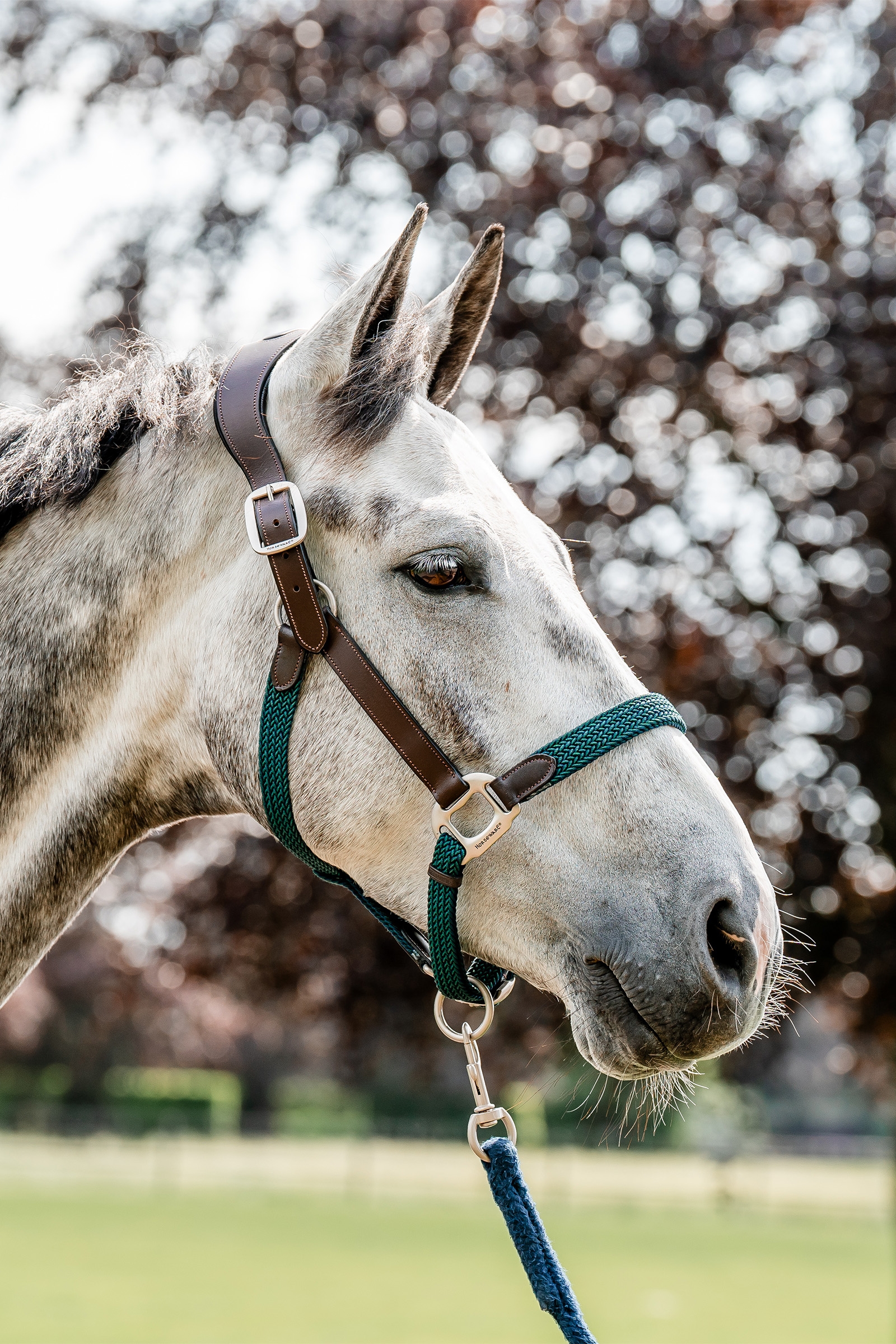Horseware Signature flätad grimma
