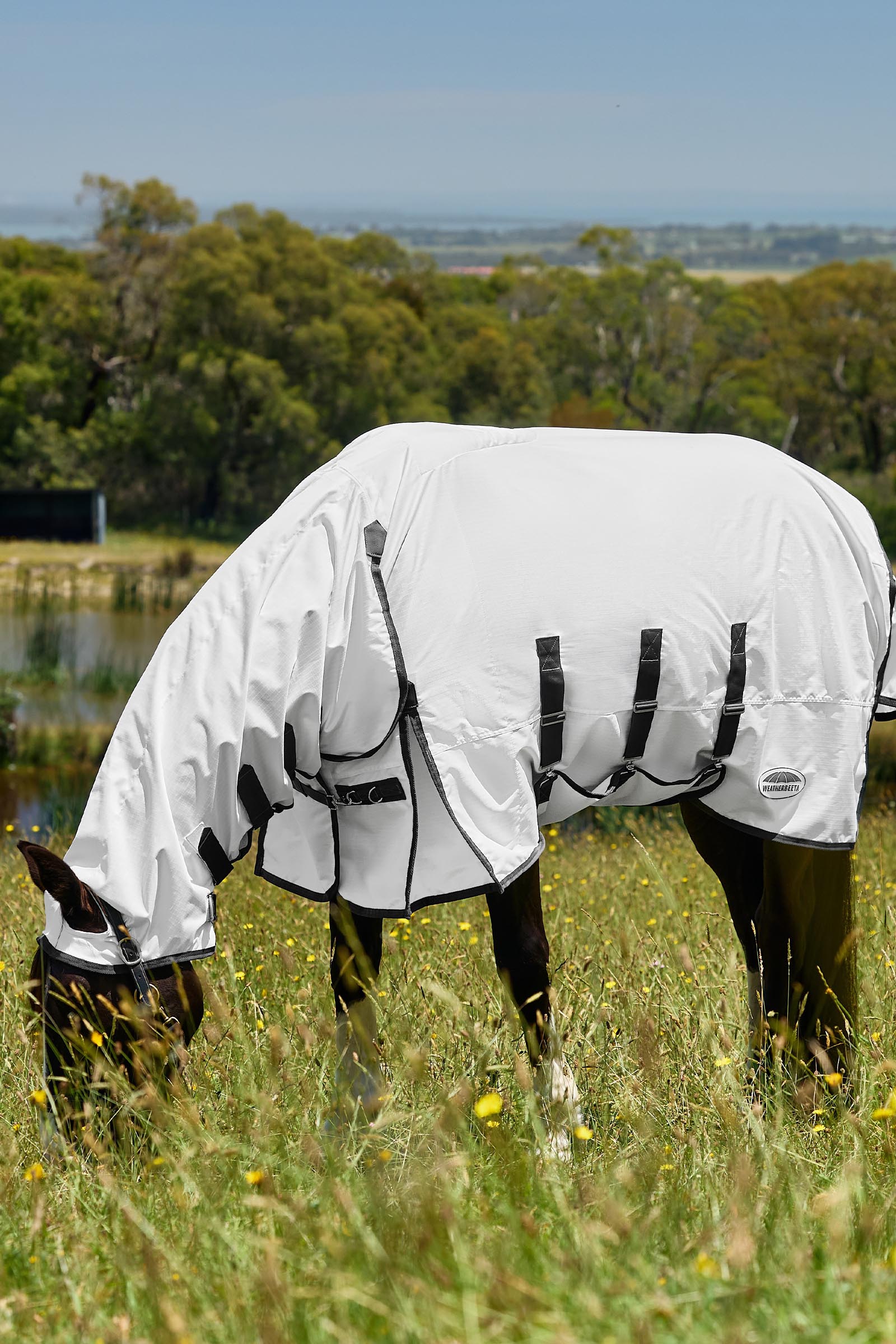 Weatherbeeta ComFiTec Sweet Itch Shield Flugt&auml;cke kombi med fast hals, 0 g  