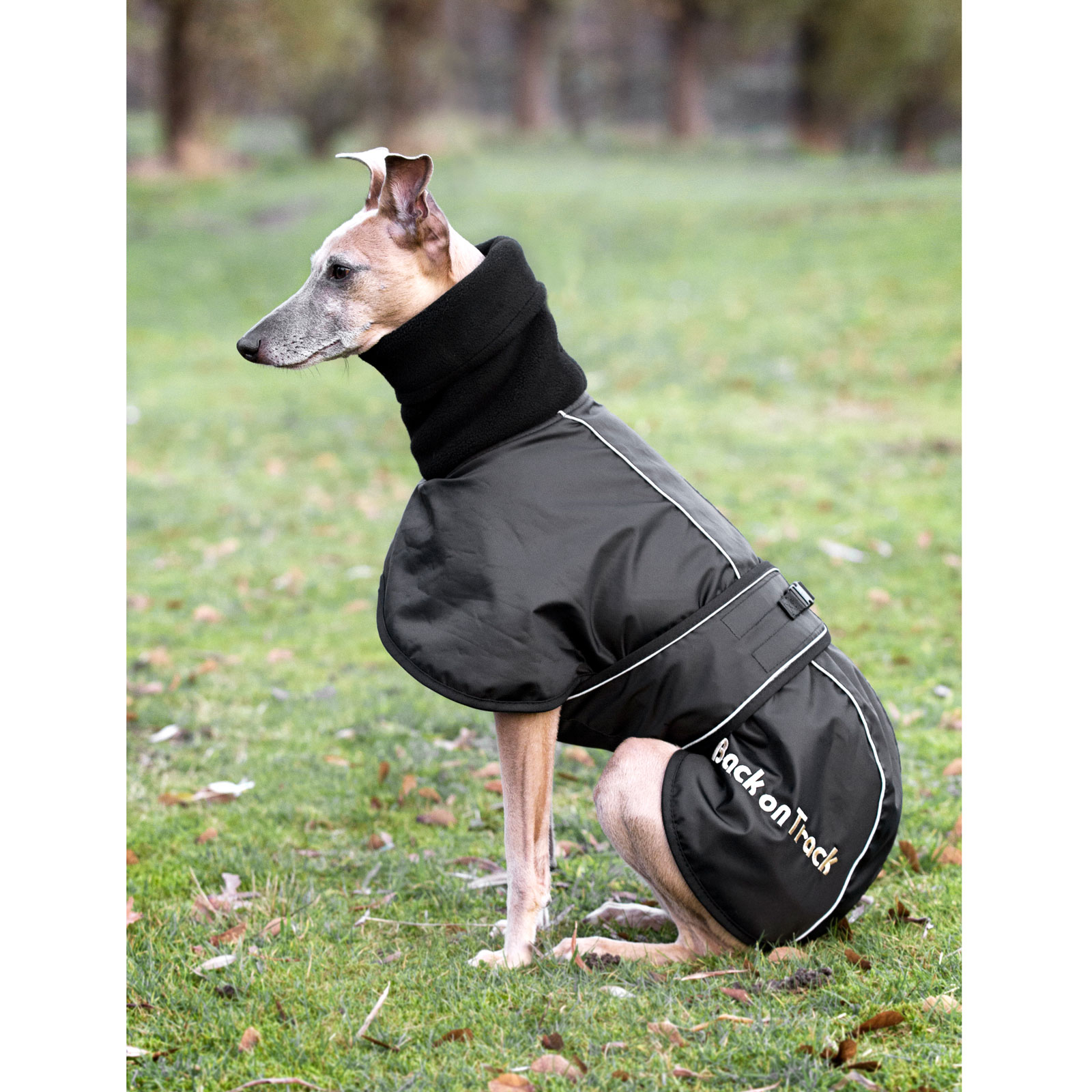 Back on Track Whippet hundtäcke, L-XXL