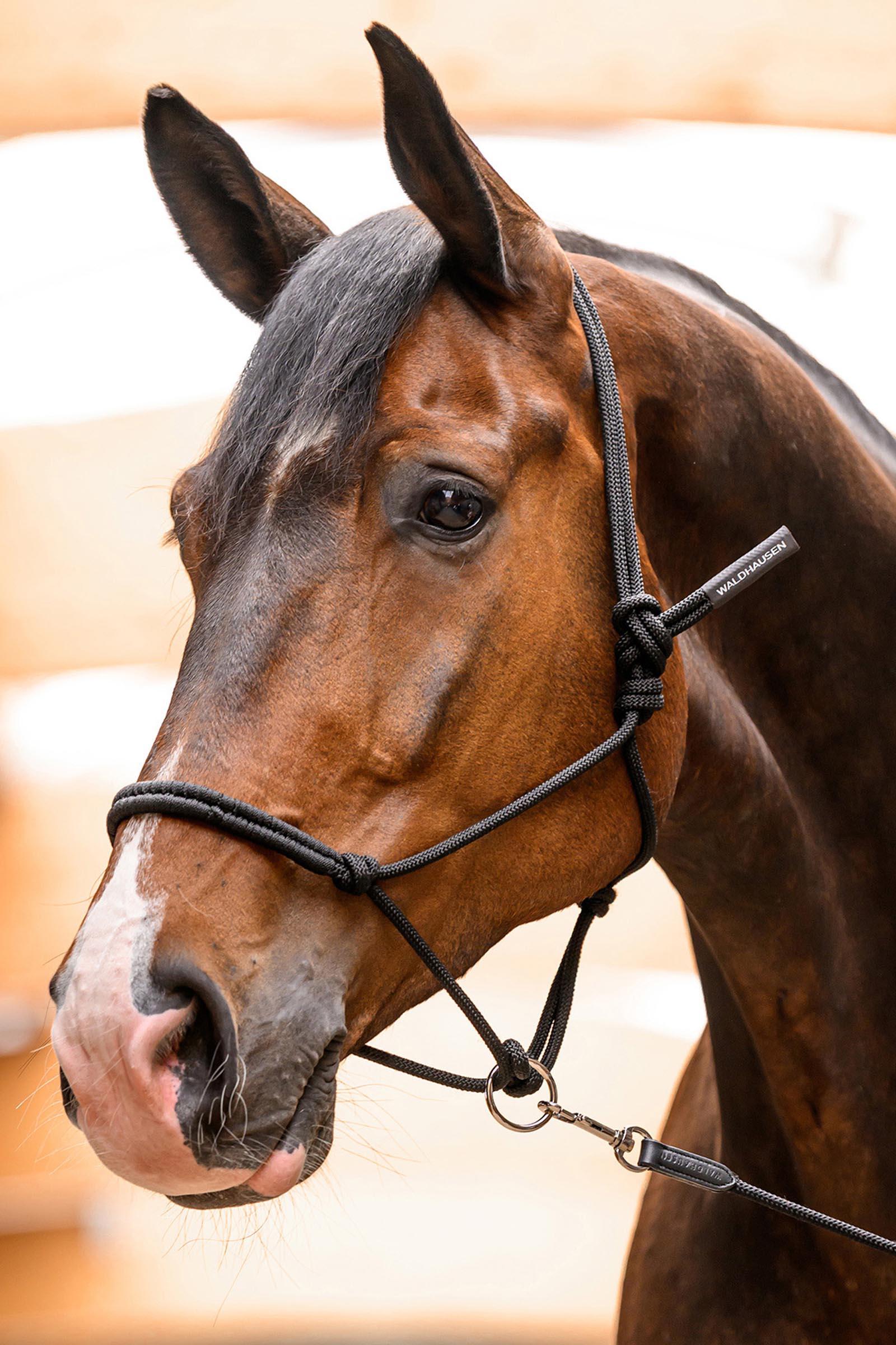 Waldhausen knutgrimma med r&ouml;rlig ring