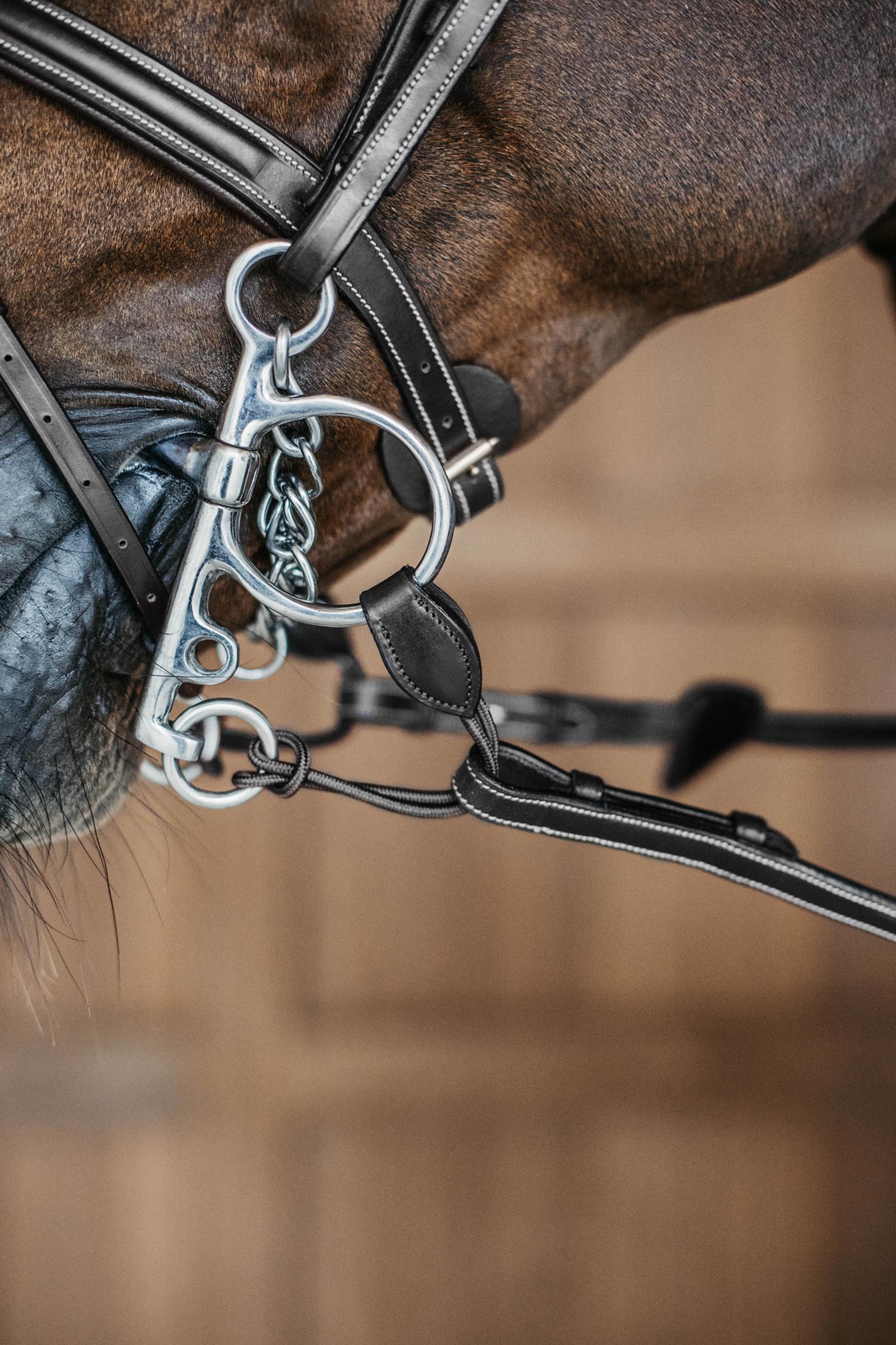 Dy'on l&aring;nga pelhamremmar  