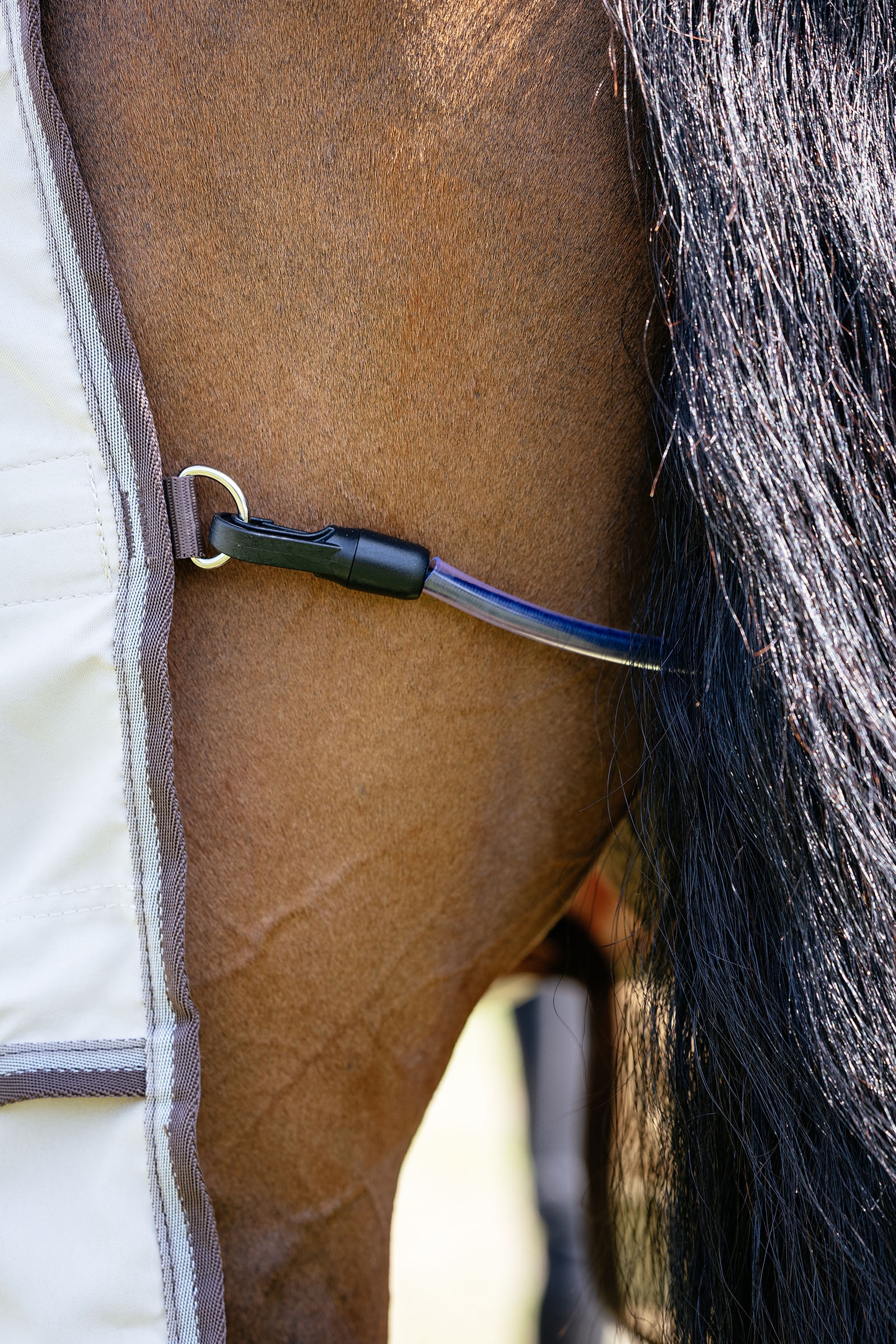 LeMieux Kudos Shower Pro eksemt&auml;cke med avtagbar halsdel