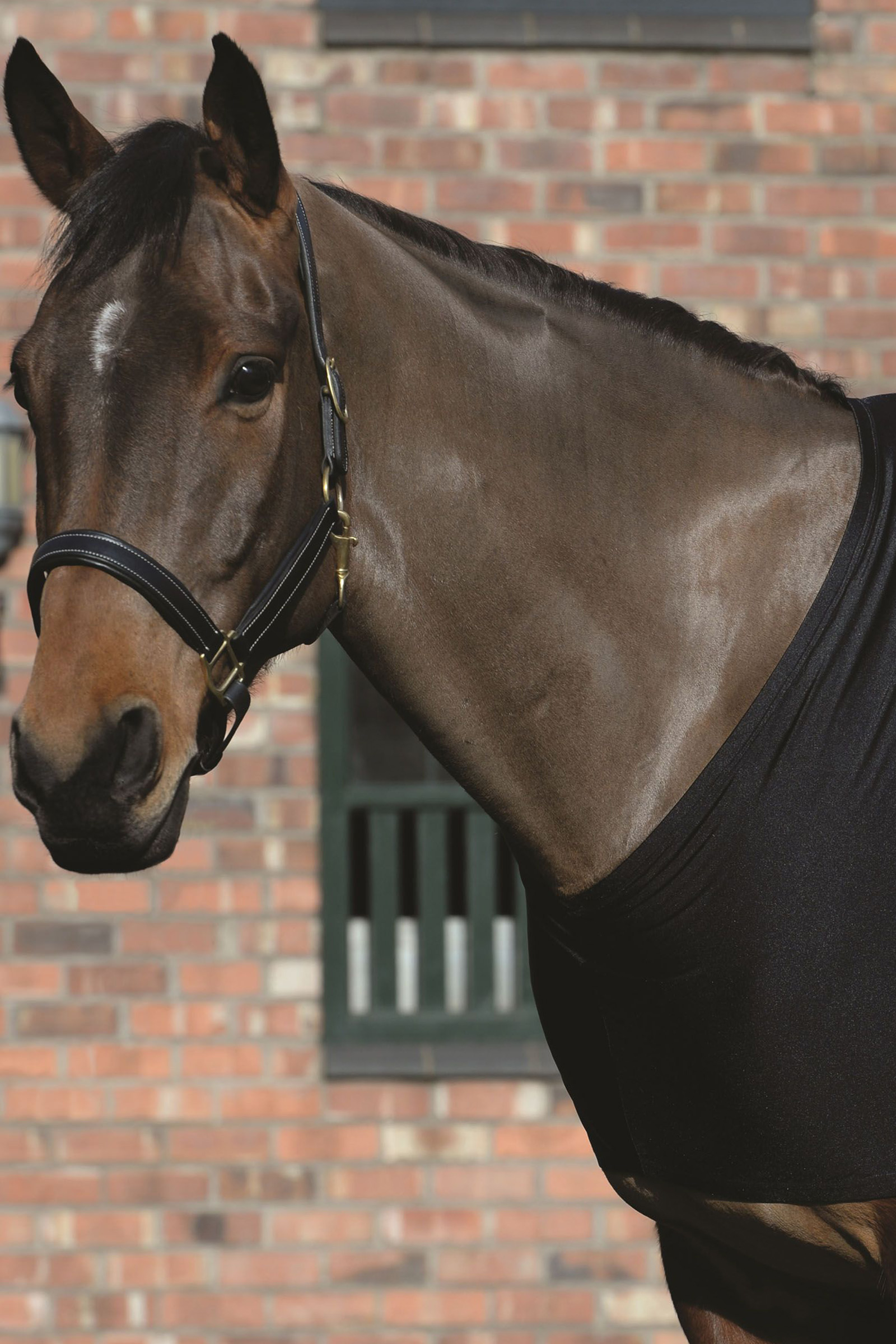 Weatherbeeta Stretch bogskydd