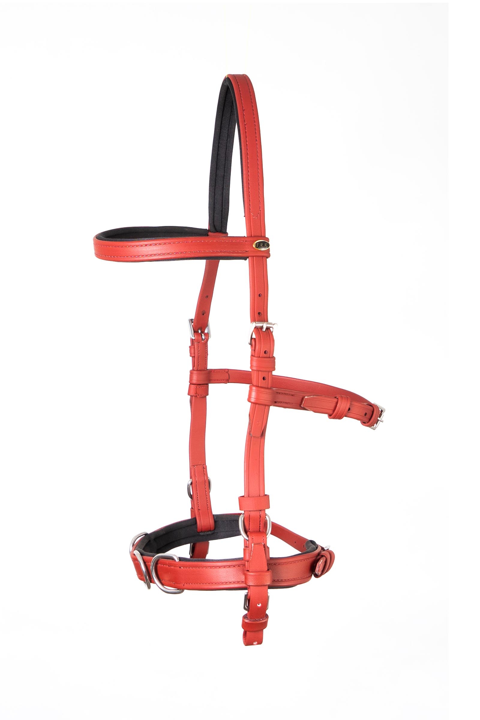 F.R.A. Freedom Riding Articles Kapson Koyla  