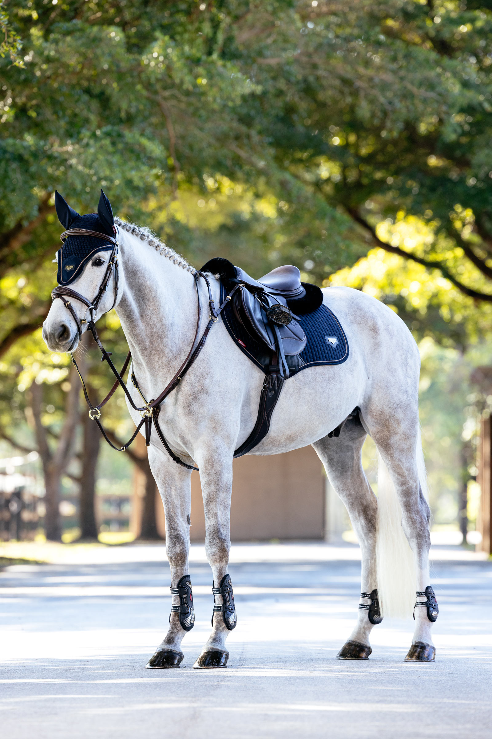 LeMieux Puissance Close Contact hoppschabrak i mockaimitation