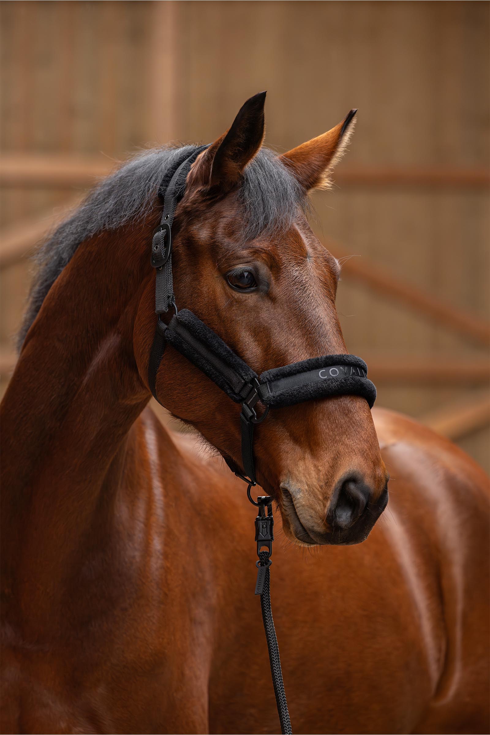 Covalliero Vadderad Grimma