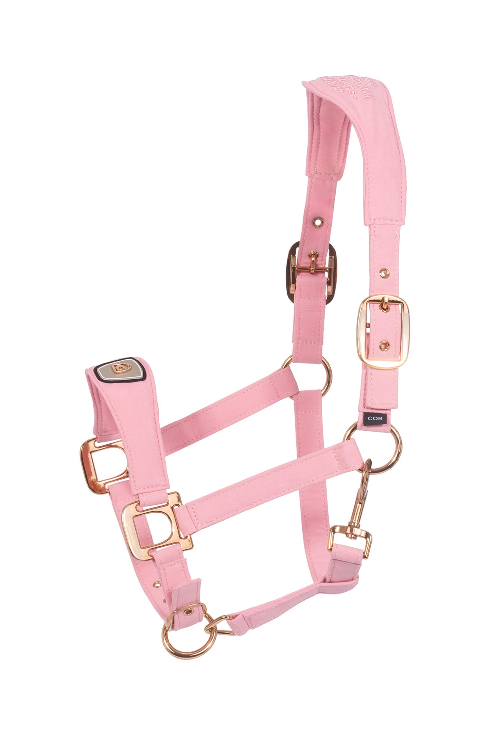 Powder Pink Cavallo CAVALPAWEL grimma