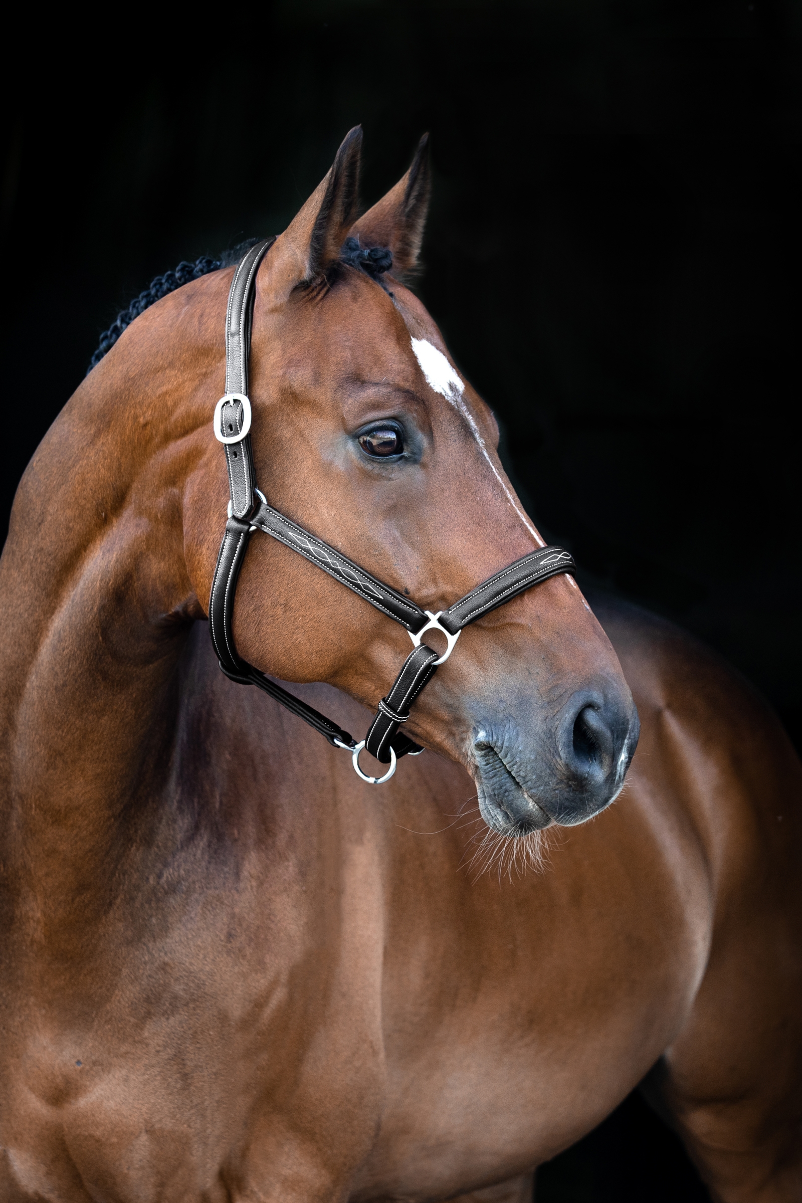 Horze Warren mjuk l&auml;dergrimma