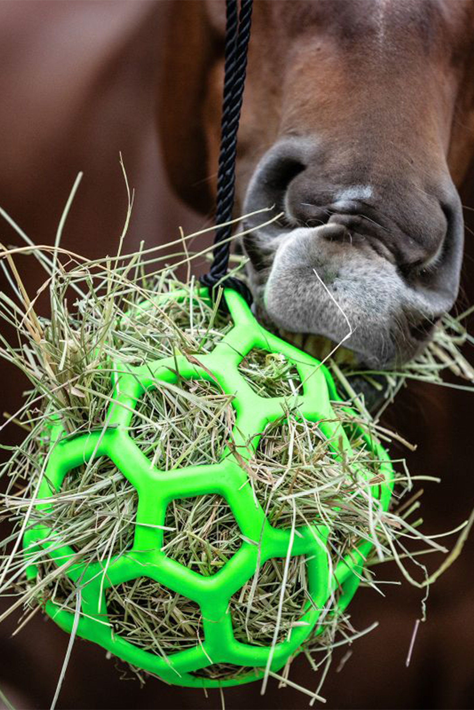 Waldhausen H&ouml;gaboll