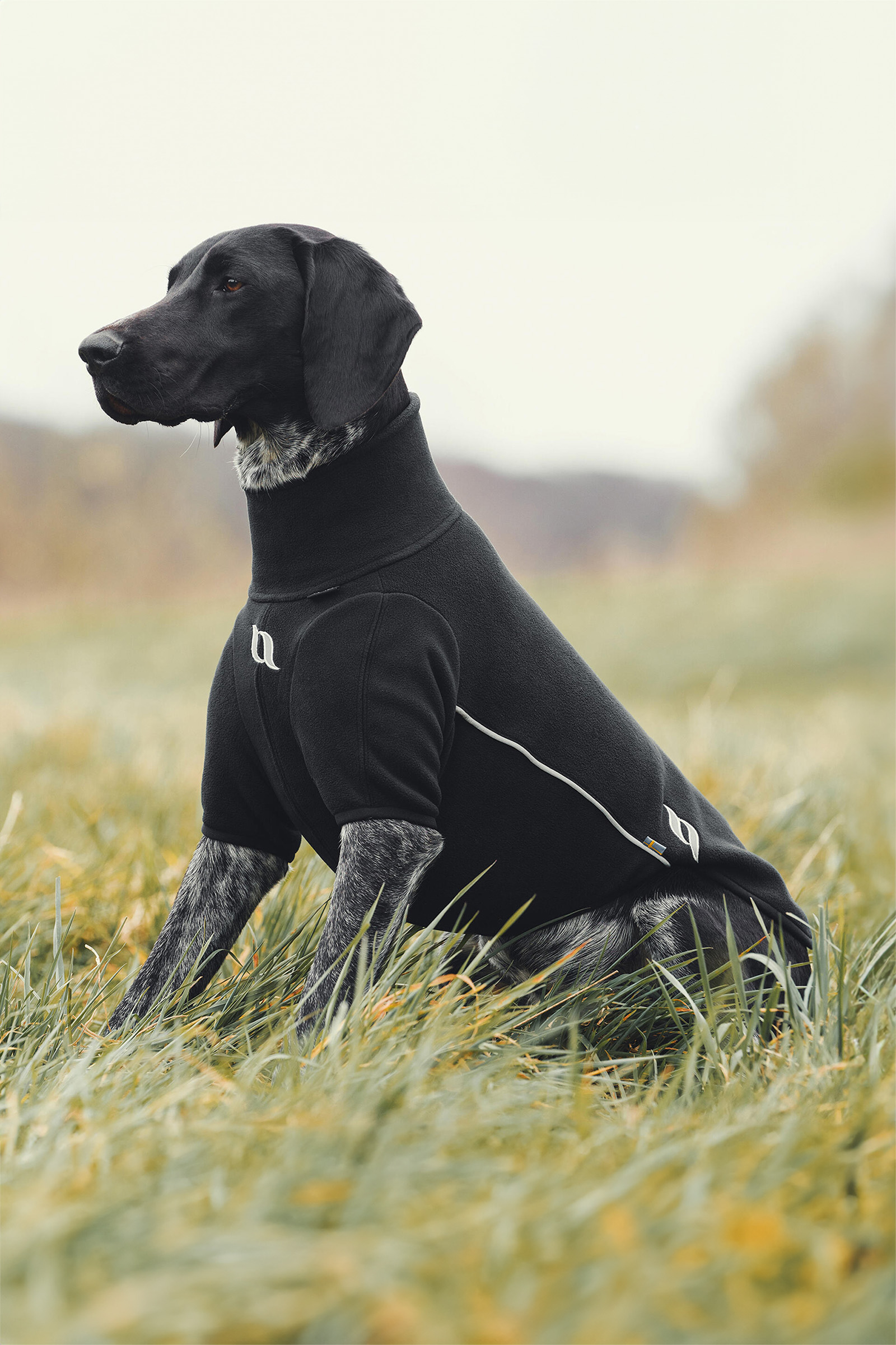 Back on Track Cassie Allväders Hundtröja, 25-30cm