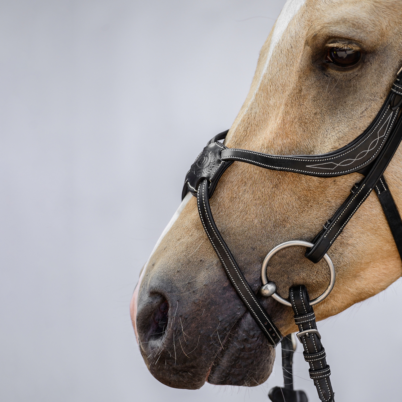 PS of Sweden Athens Träns