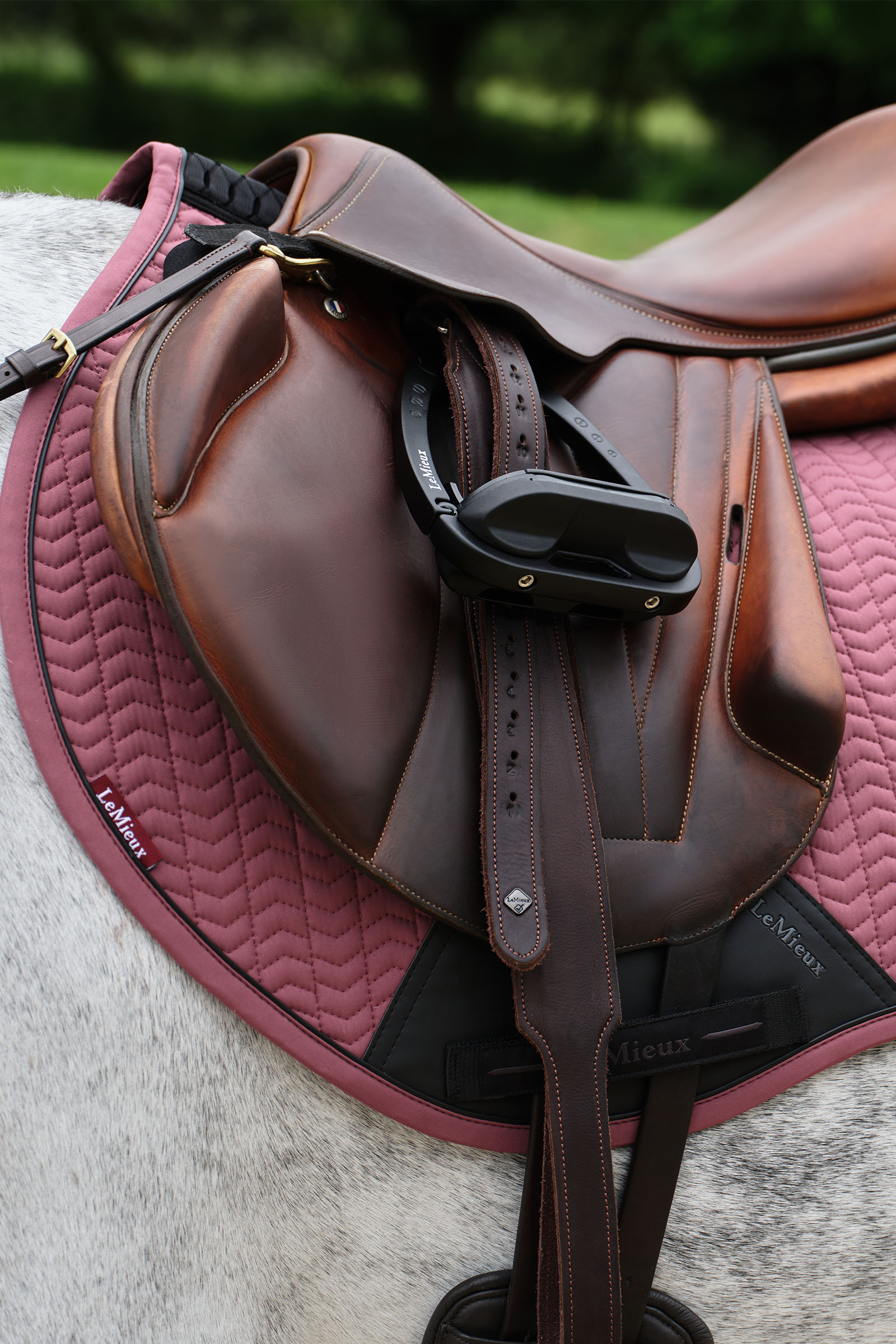 LeMieux Essence Eurojump Hoppschabrak