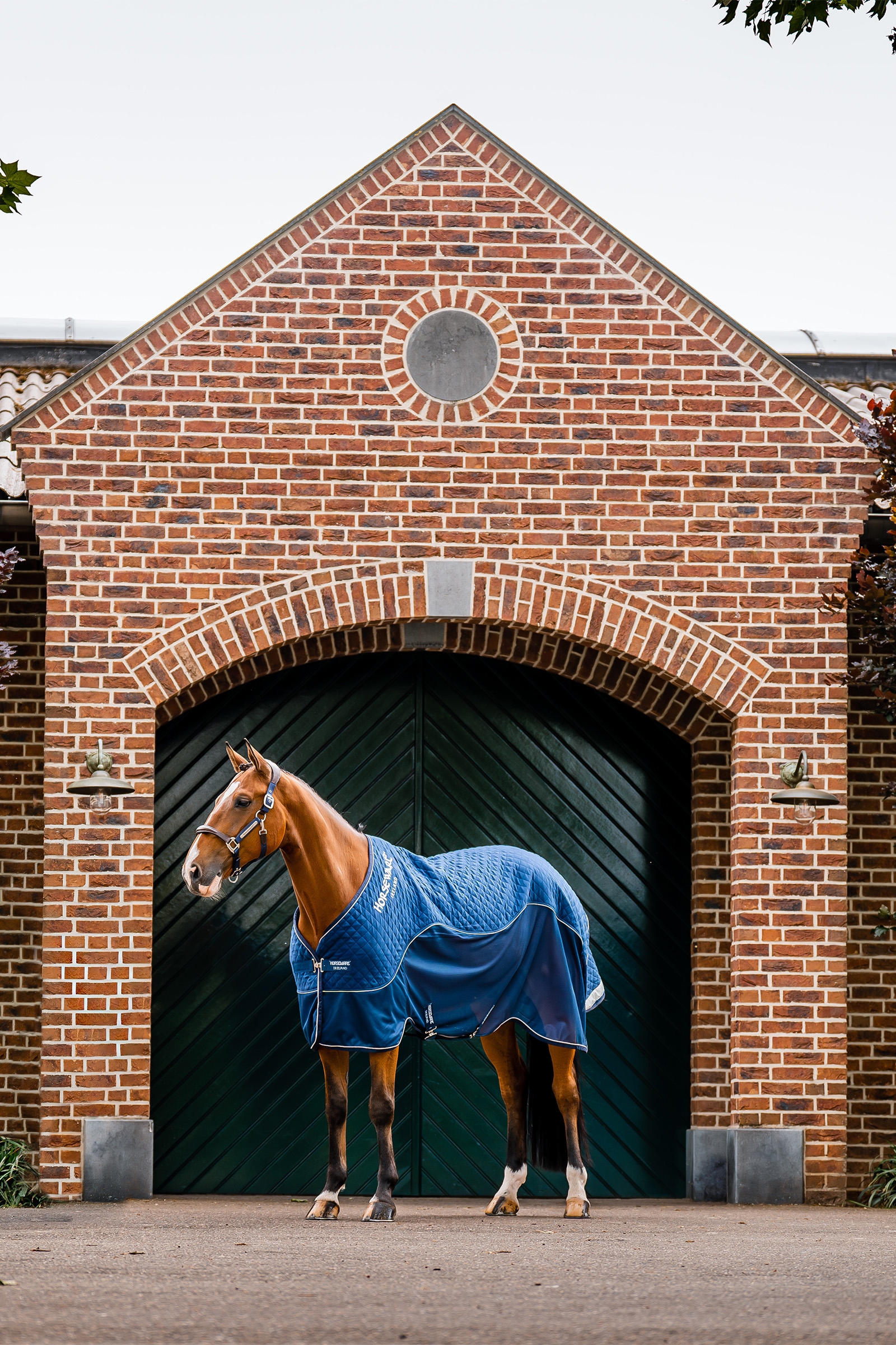 Horseware Signature Transporttäcke, 50g