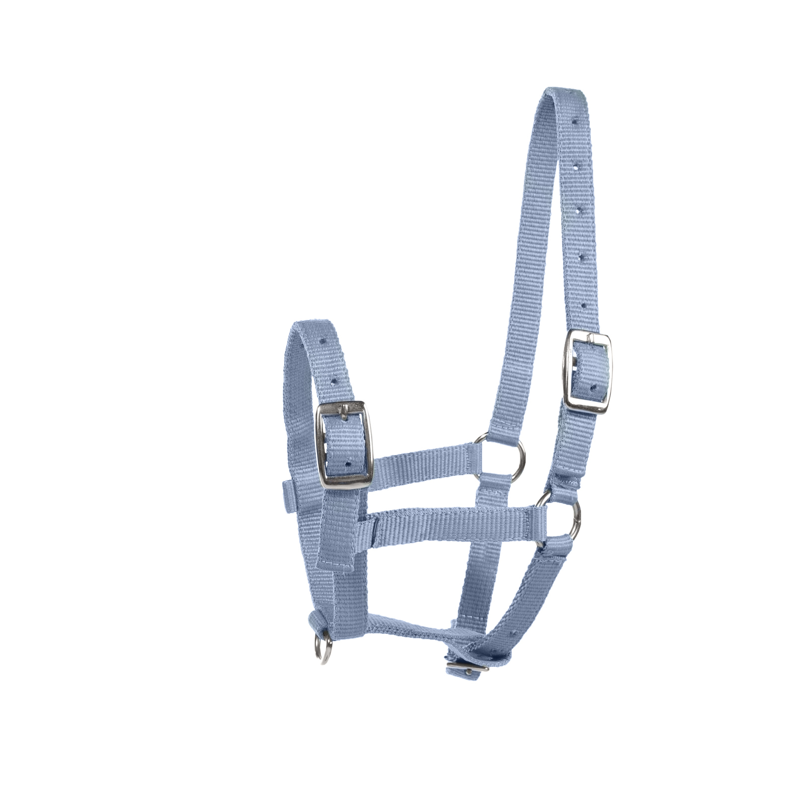 Light Blue Horze Foal Halter fölgrimma