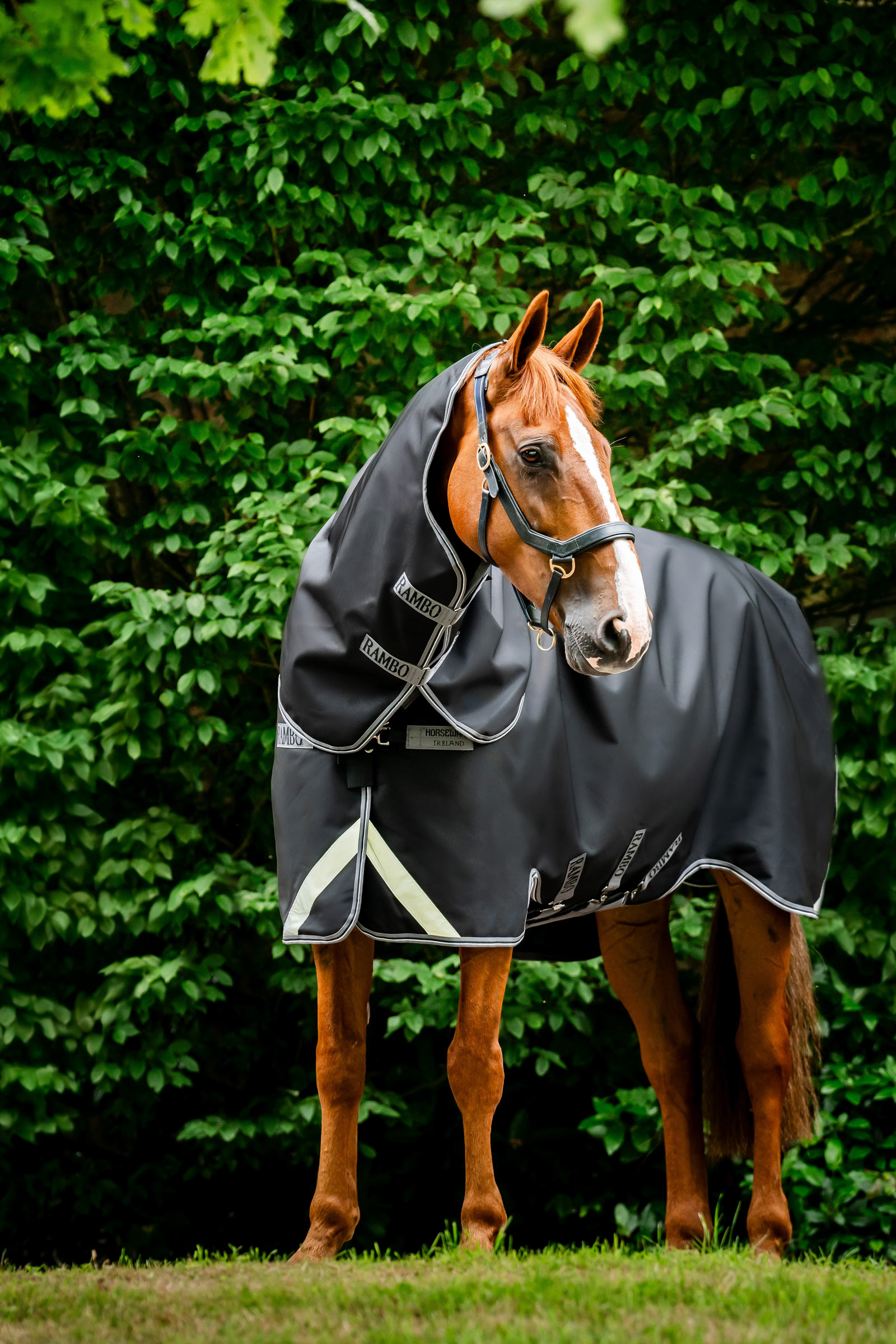 Horseware Rambo 1680D Plus utetäcke, 100 g