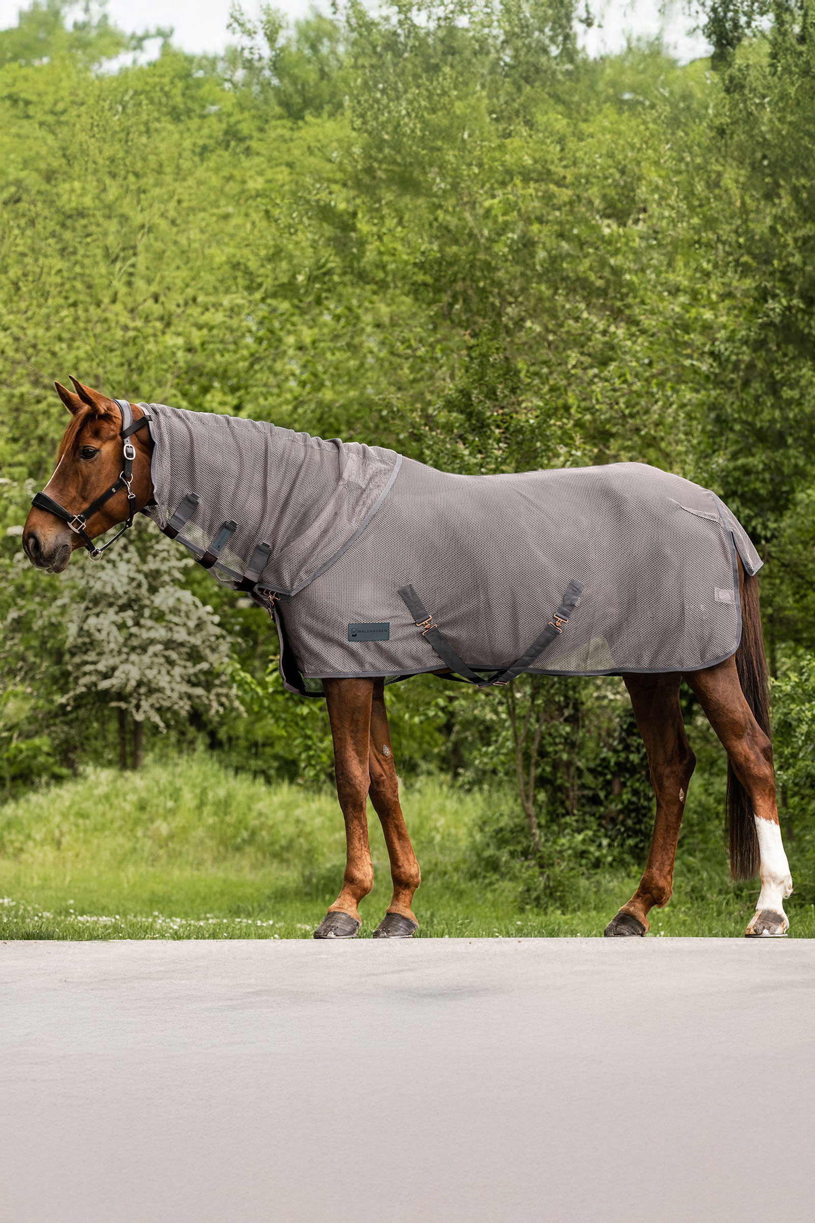 Waldhausen Comfort flughalsdel