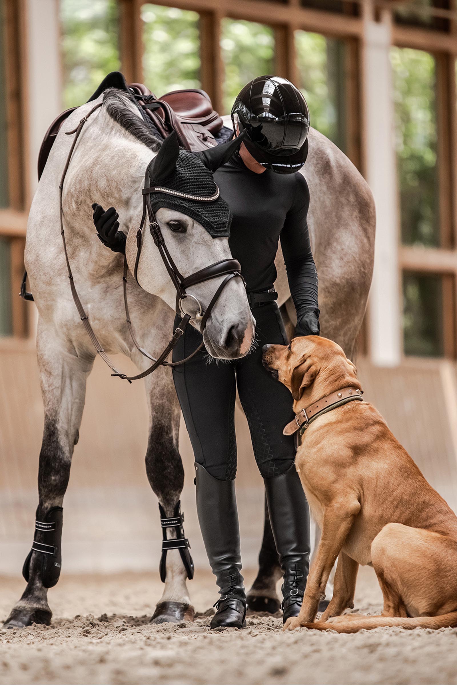 SWING H24 Lady Glossy ridhj&auml;lm dam