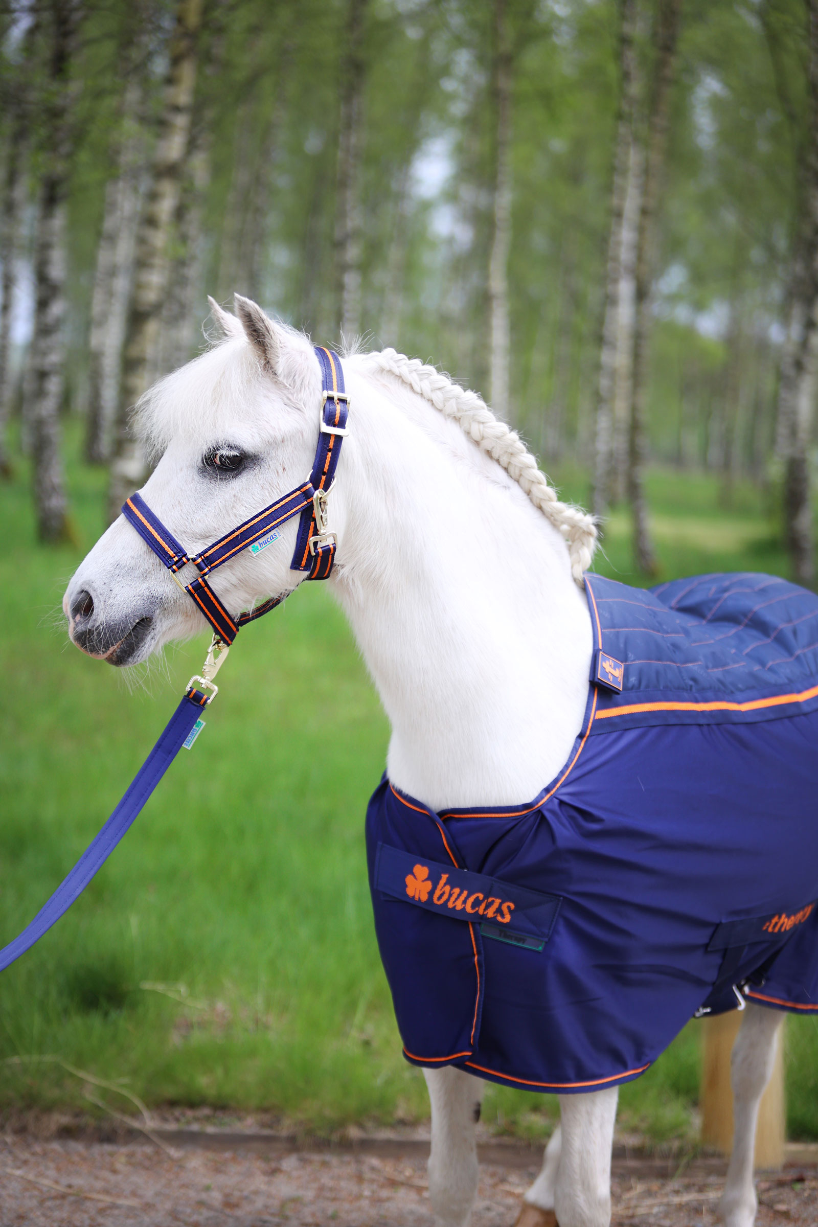 Bucas Therapy kyltäcke för ponny, 0 g