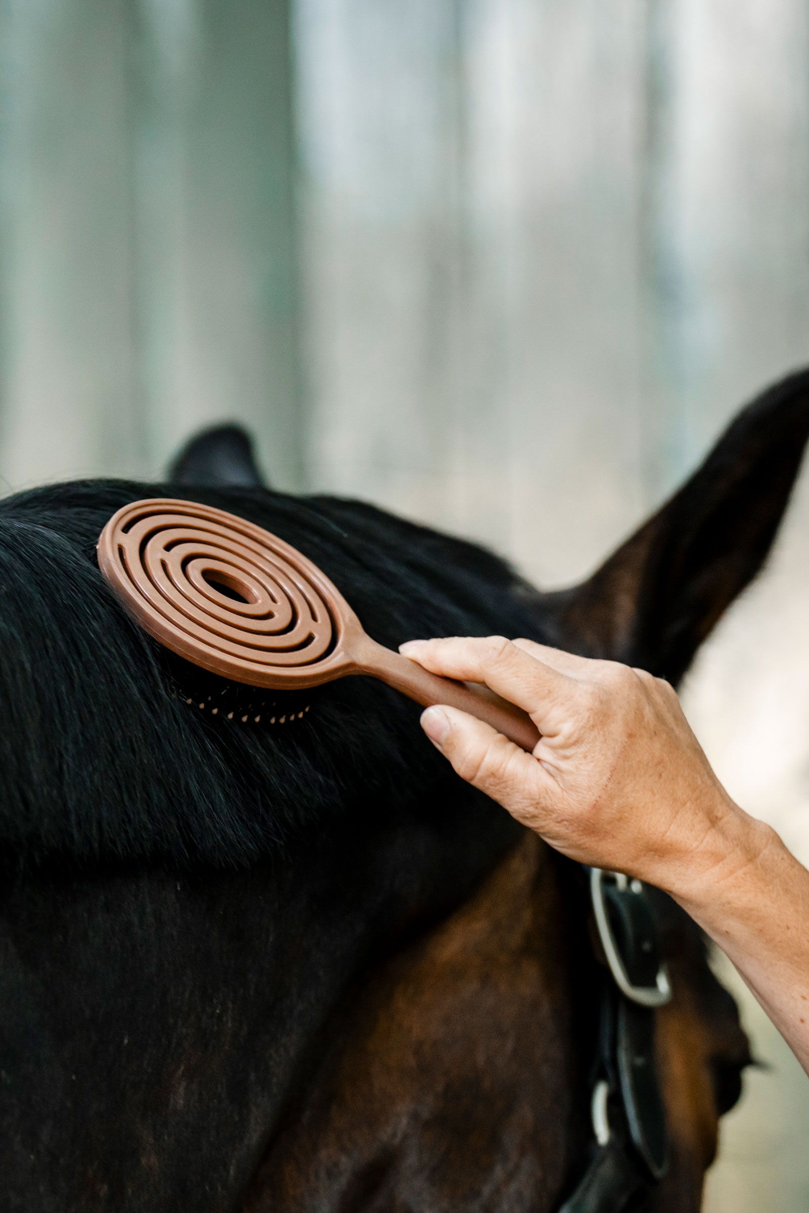 Horseware man- och svansborste