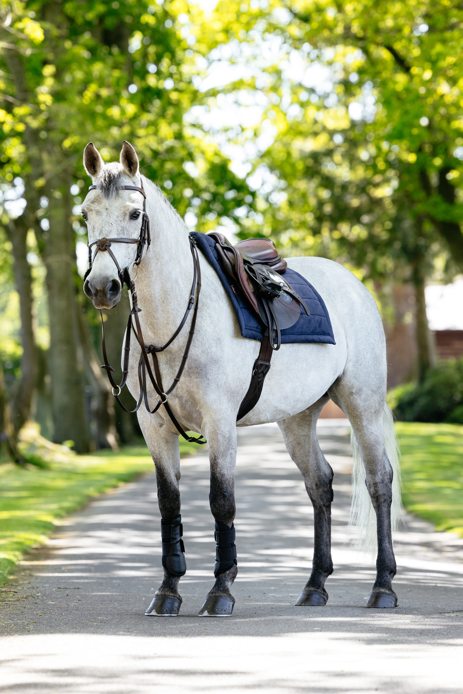 LeMieux Pillow vadderat allroundschabrak