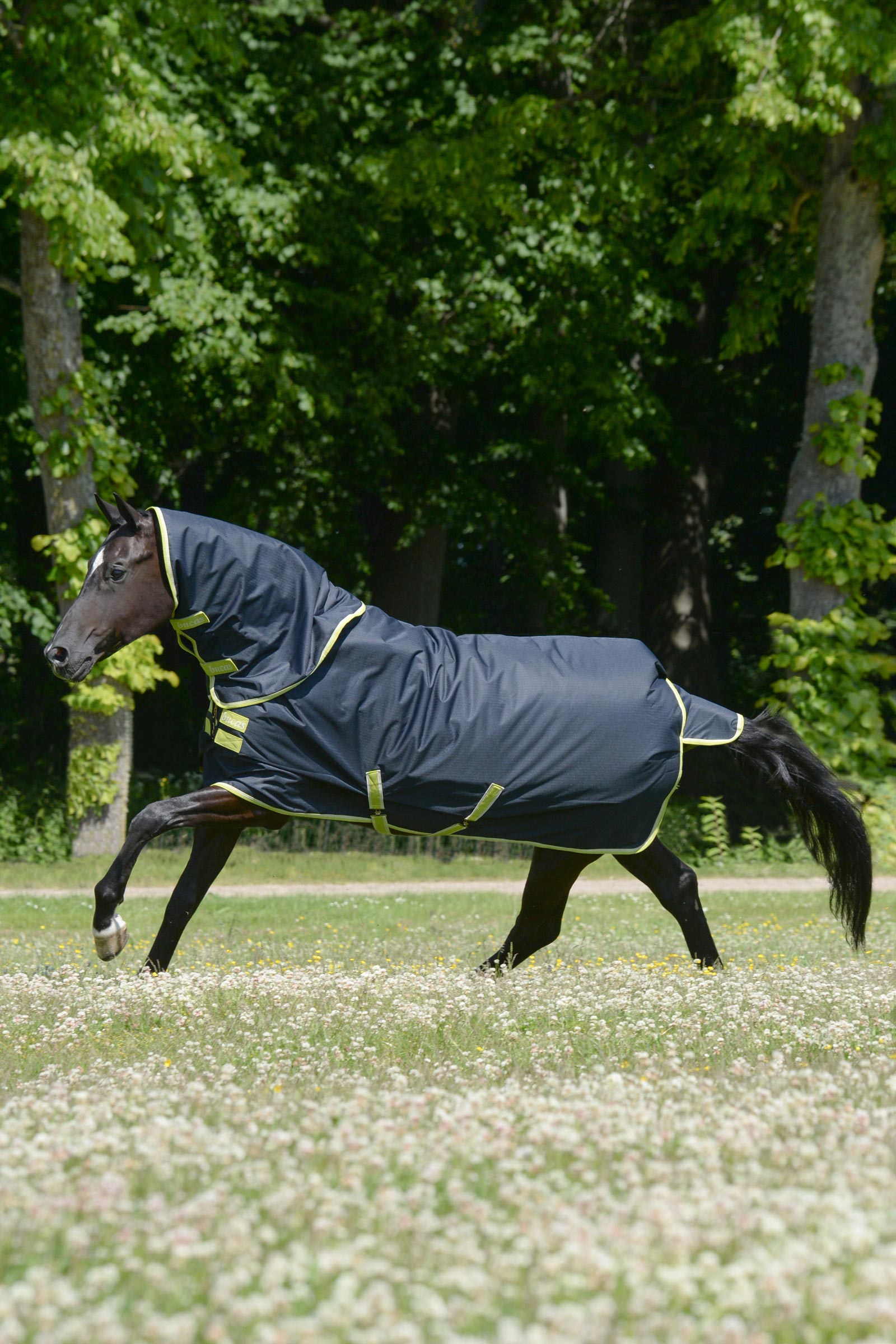 Bucas Oasis utetäcke + halstäcke set, 100g