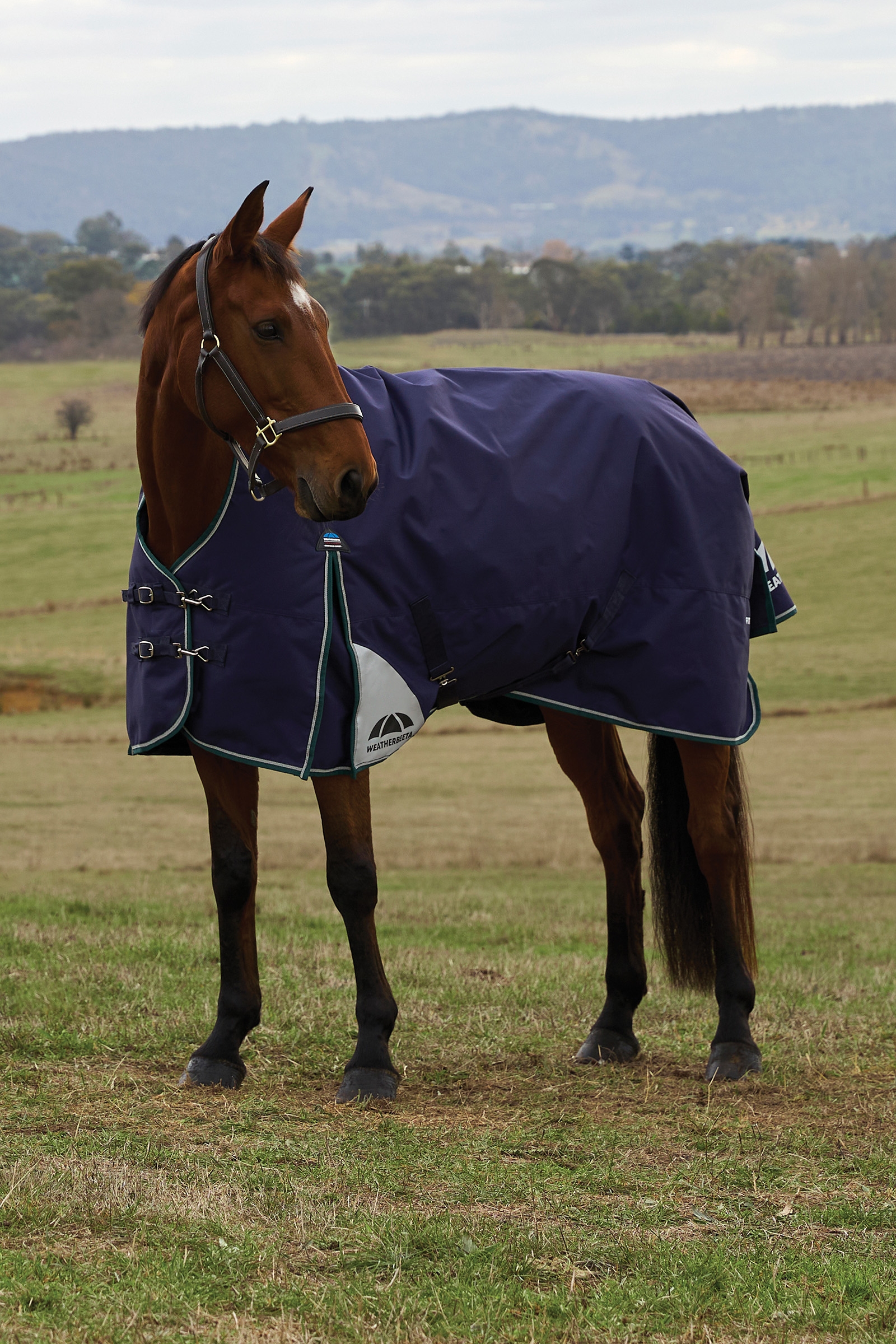 Weatherbeeta ComFiTecPlus Dynamisk Utet&auml;cke med H&ouml;g Hals 100G