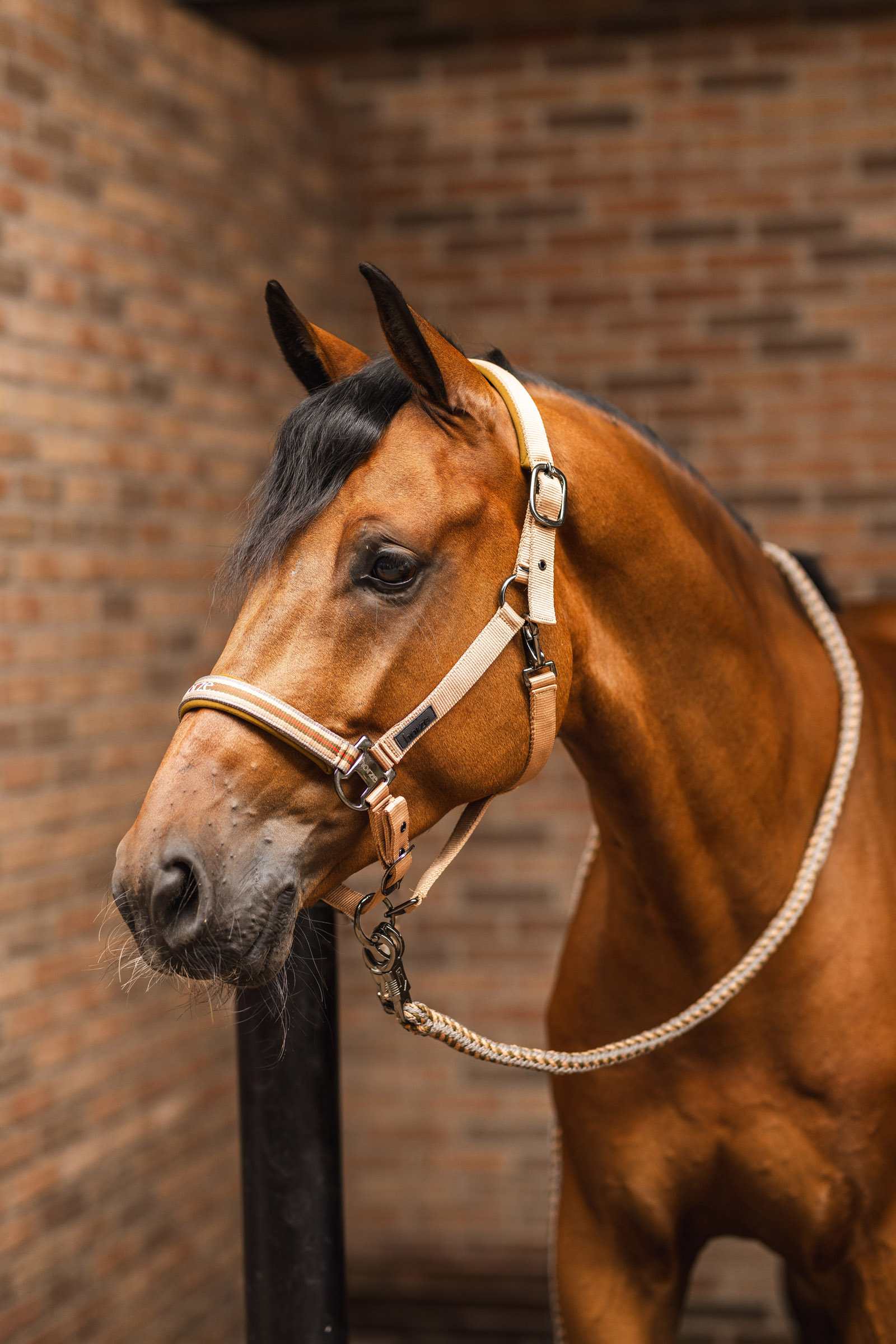 Horze High Life grimskaft med panikkrok