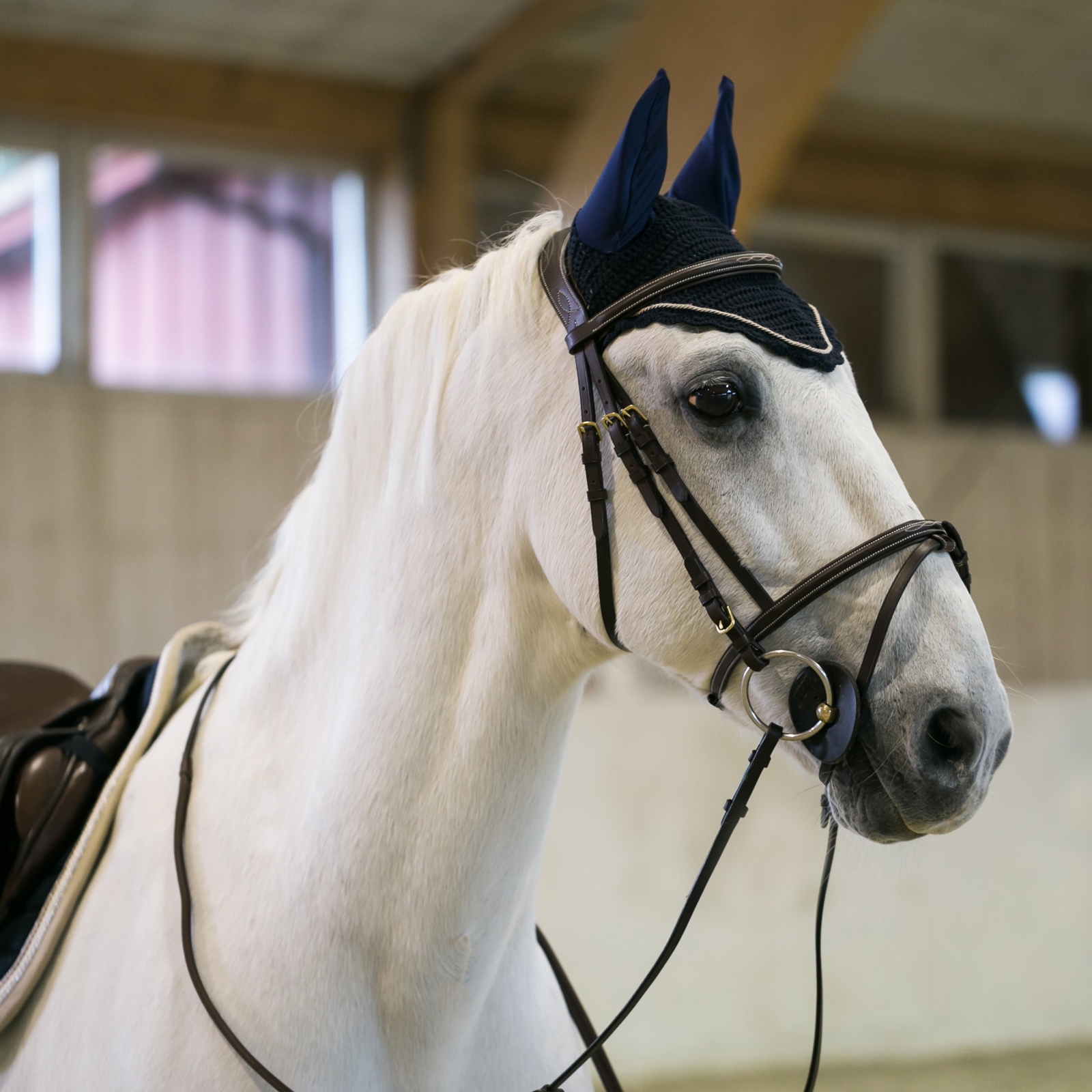 B Vertigo Sam ridhuva med &ouml;ron