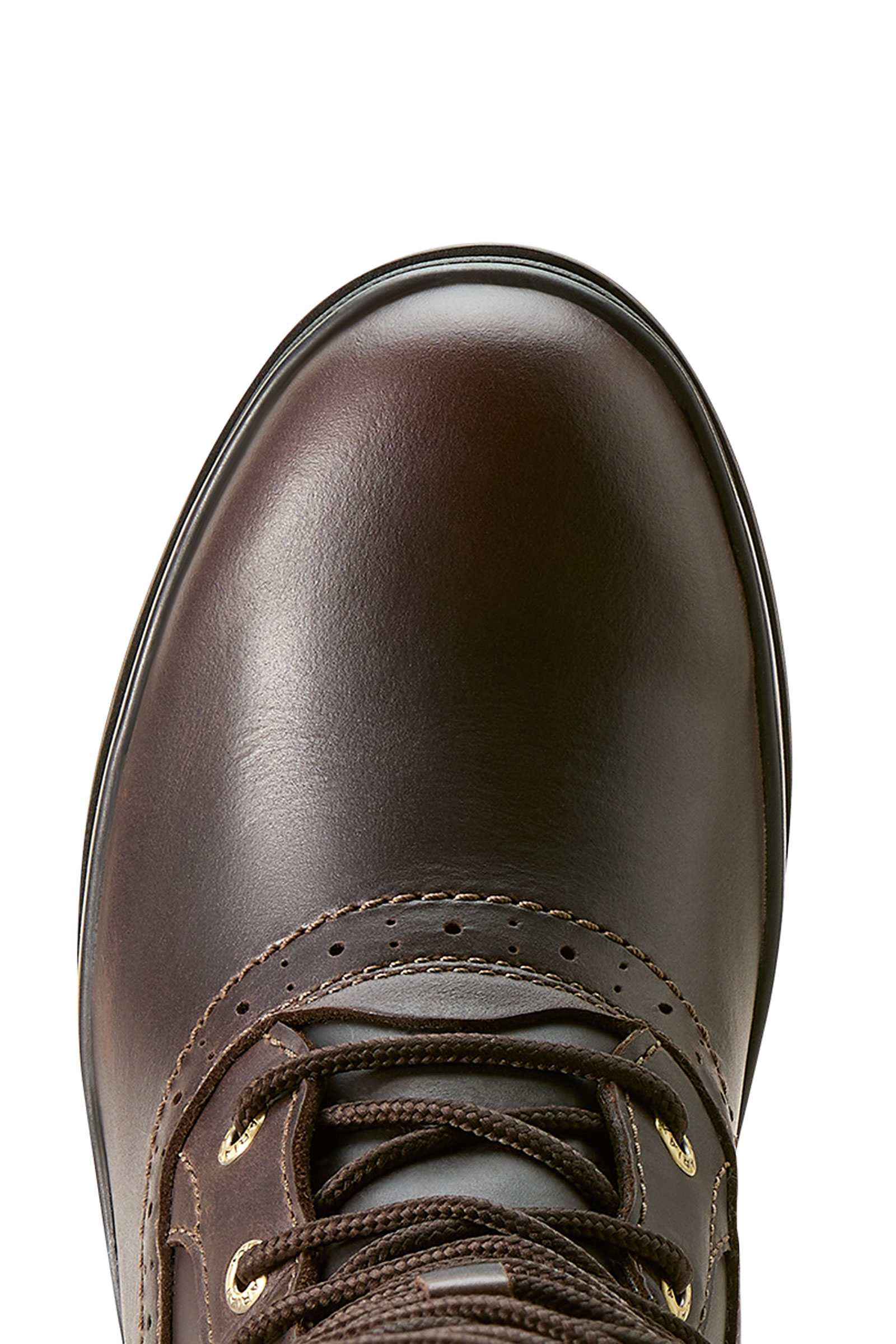 Ariat Wythburn II Sherpa Vattentäta Stövlar