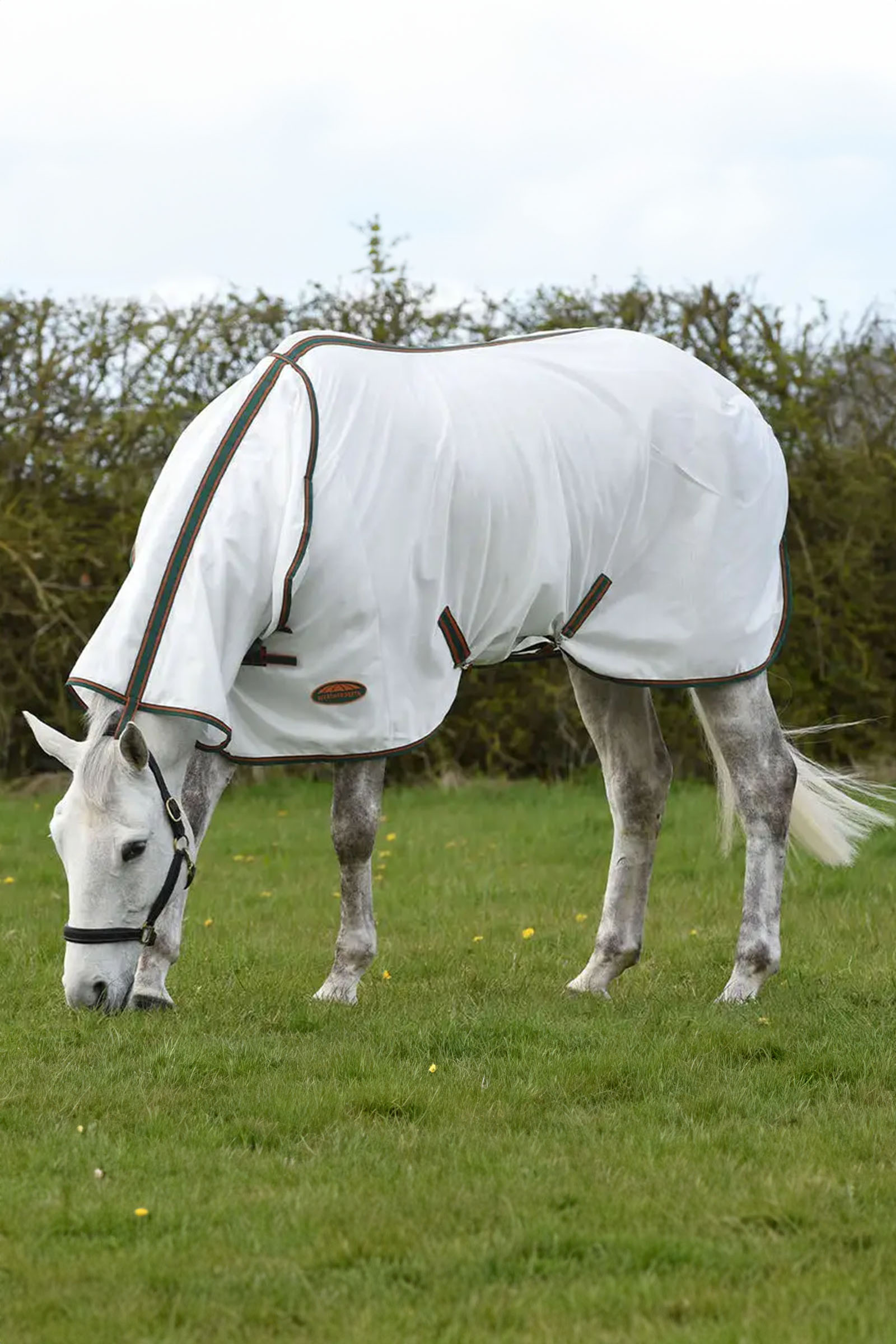 Weatherbeeta Comfitec Tyro n&auml;t&auml;ckescombo med hals