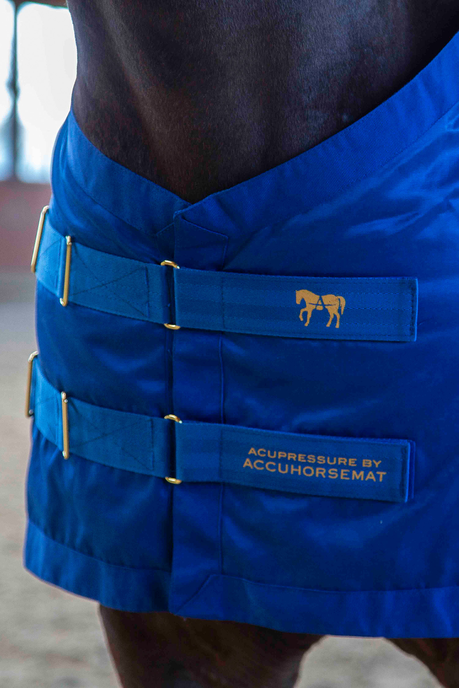 Accuhorsemat original