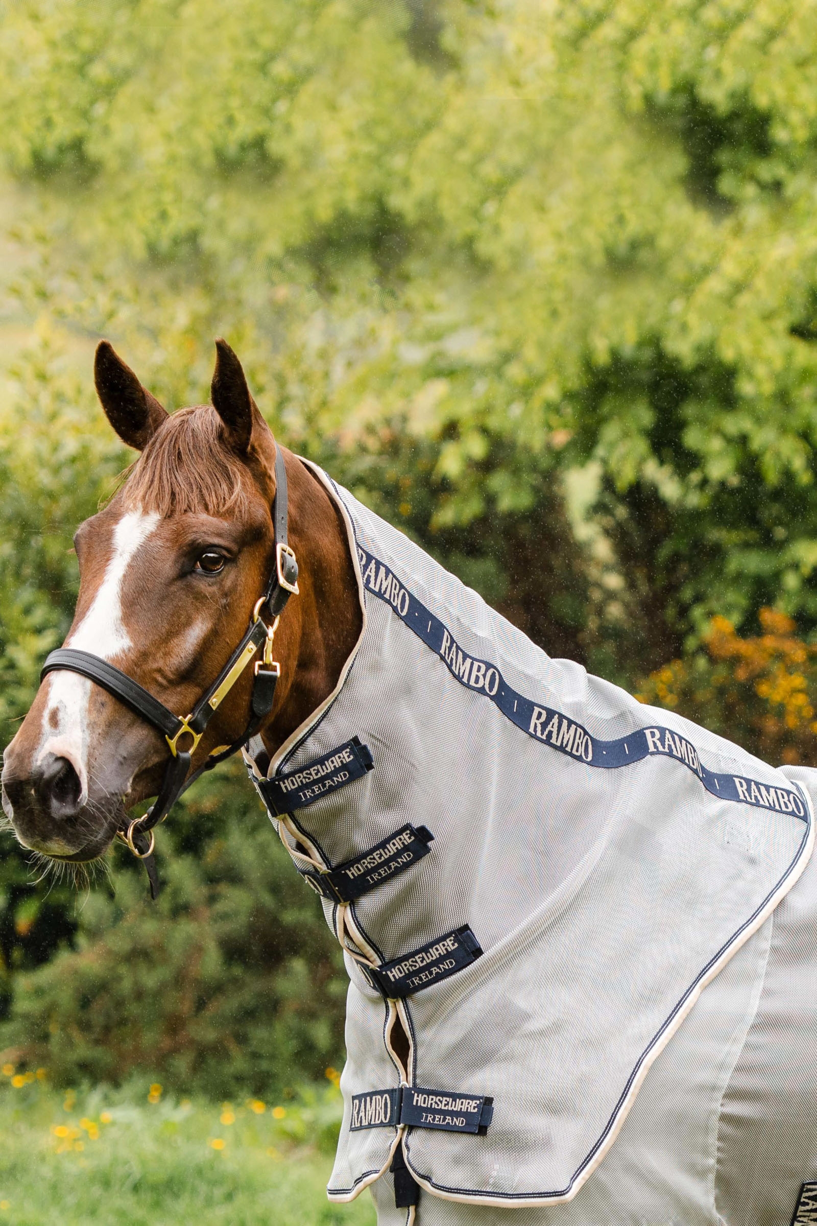 Horseware Rambo Protector hals