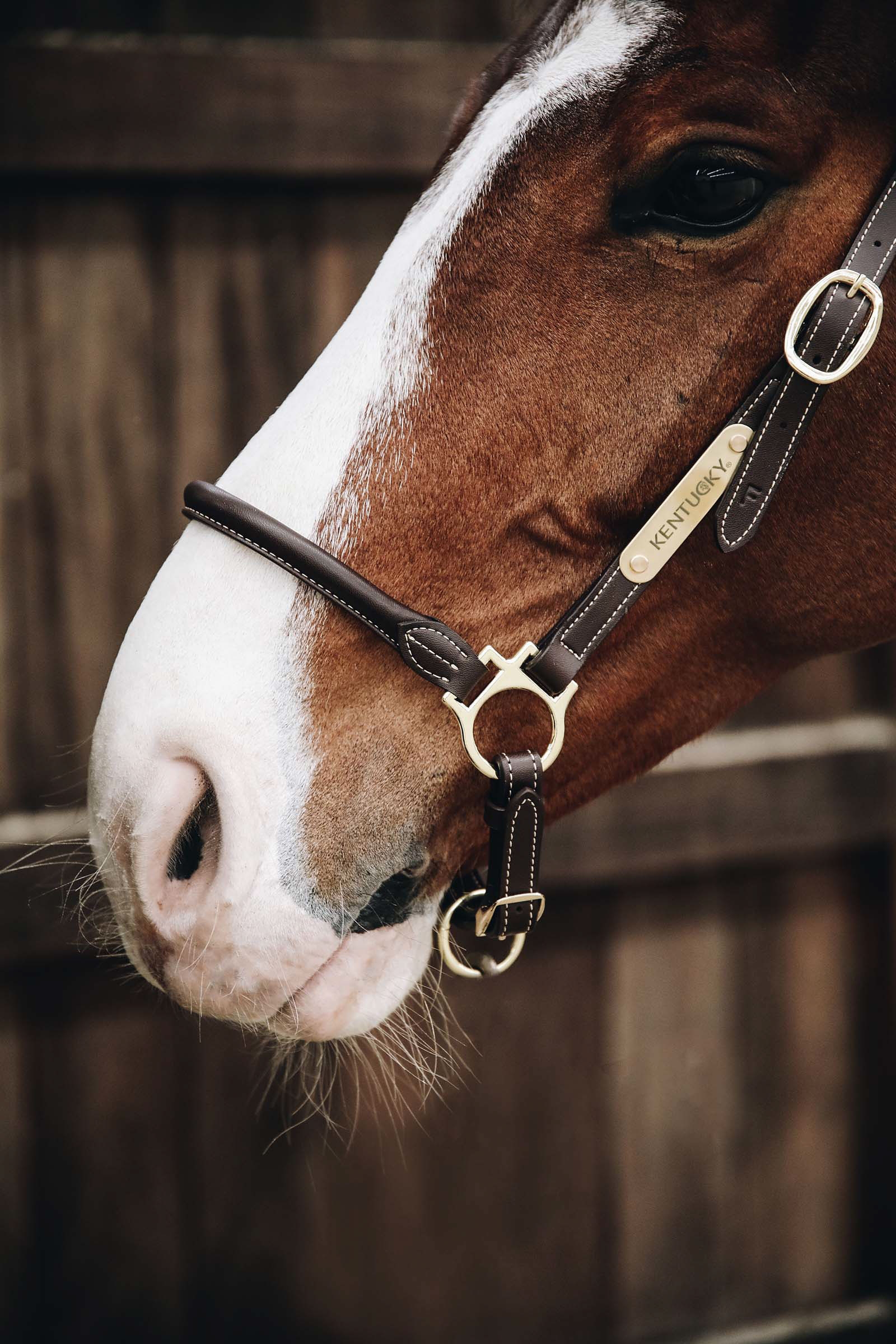 Kentucky Horsewear l&auml;dergrimma f&ouml;r sk&ouml;tsel