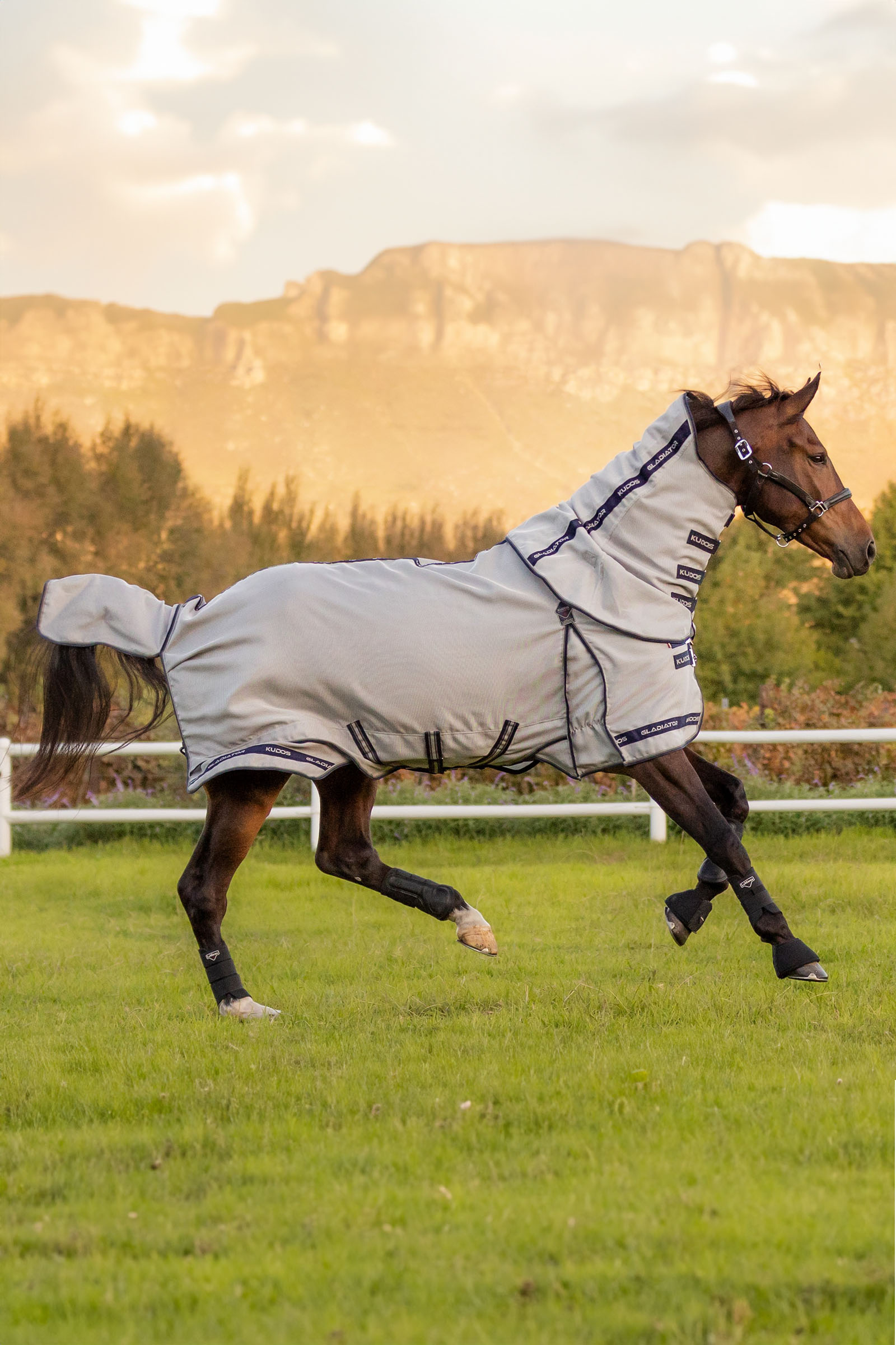 LeMieux Kudos Gladiator flugt&auml;cke