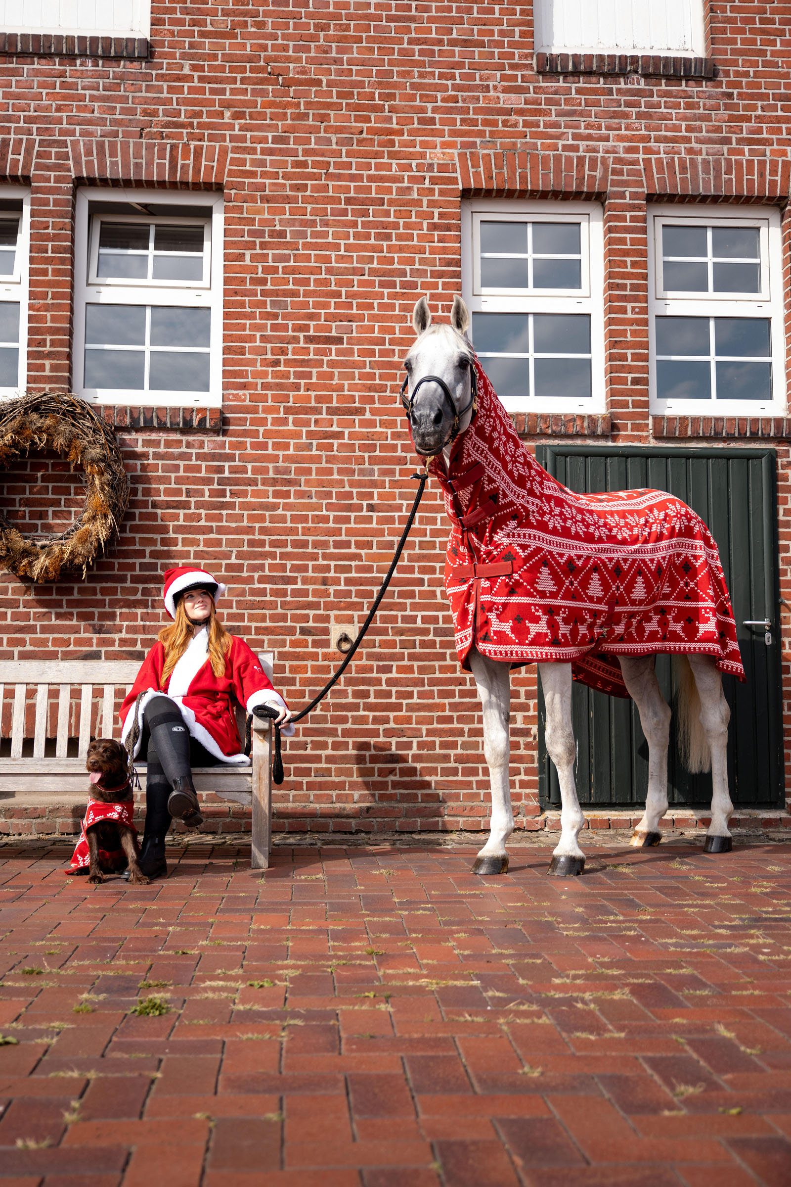 Horze julig tröja för hästar