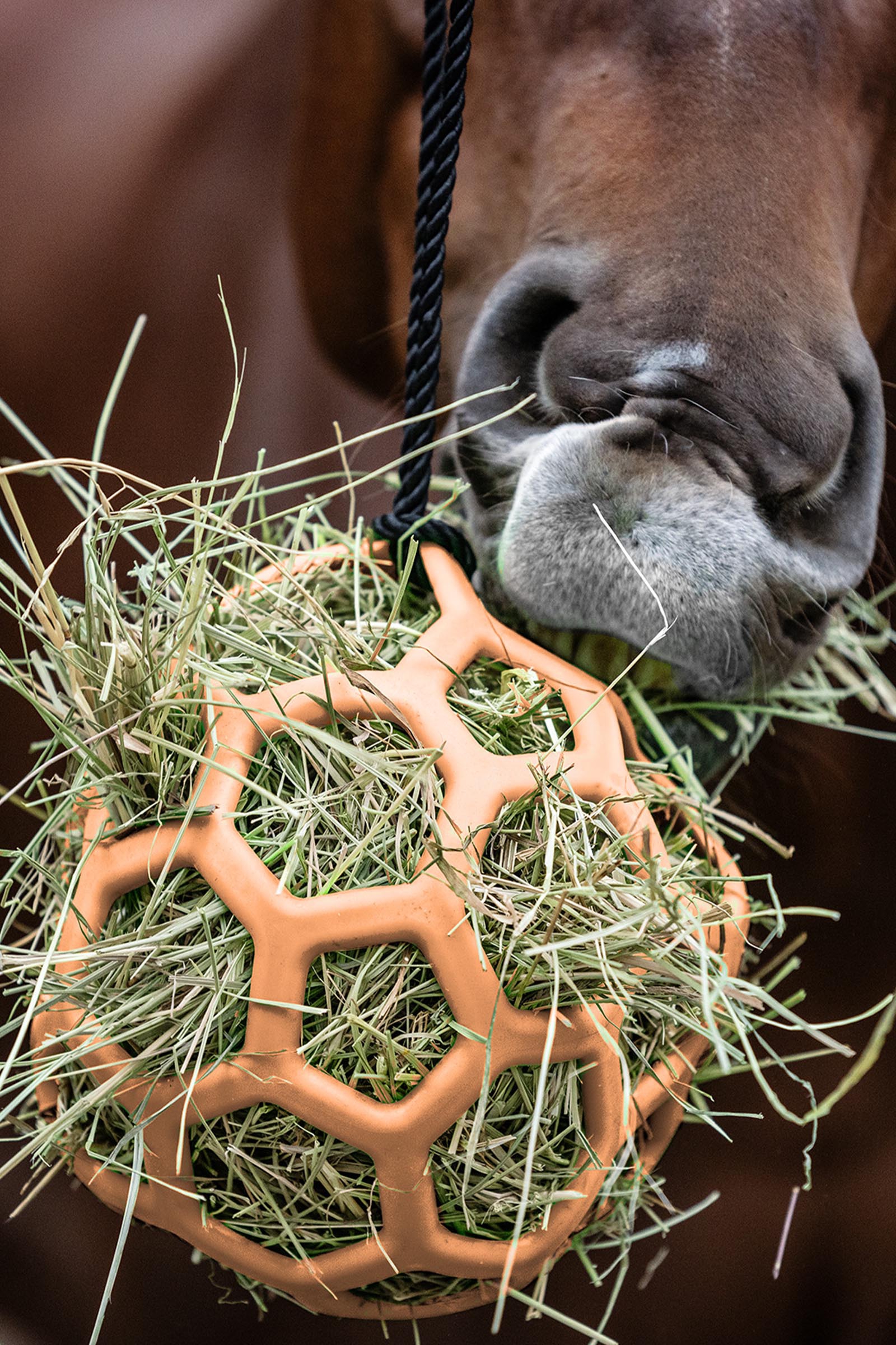 Peach Waldhausen h&ouml;boll