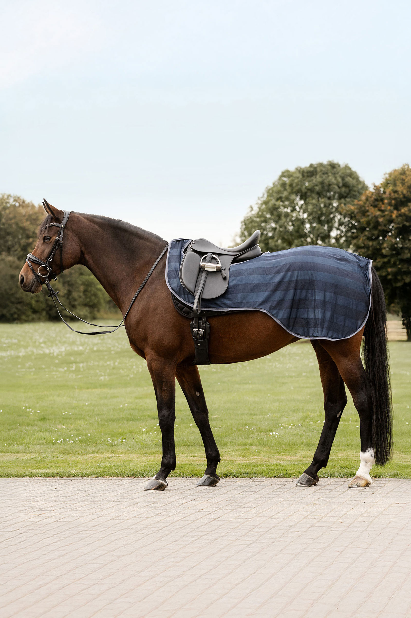 Night Blue Waldhausen Economic ridflugtäcke