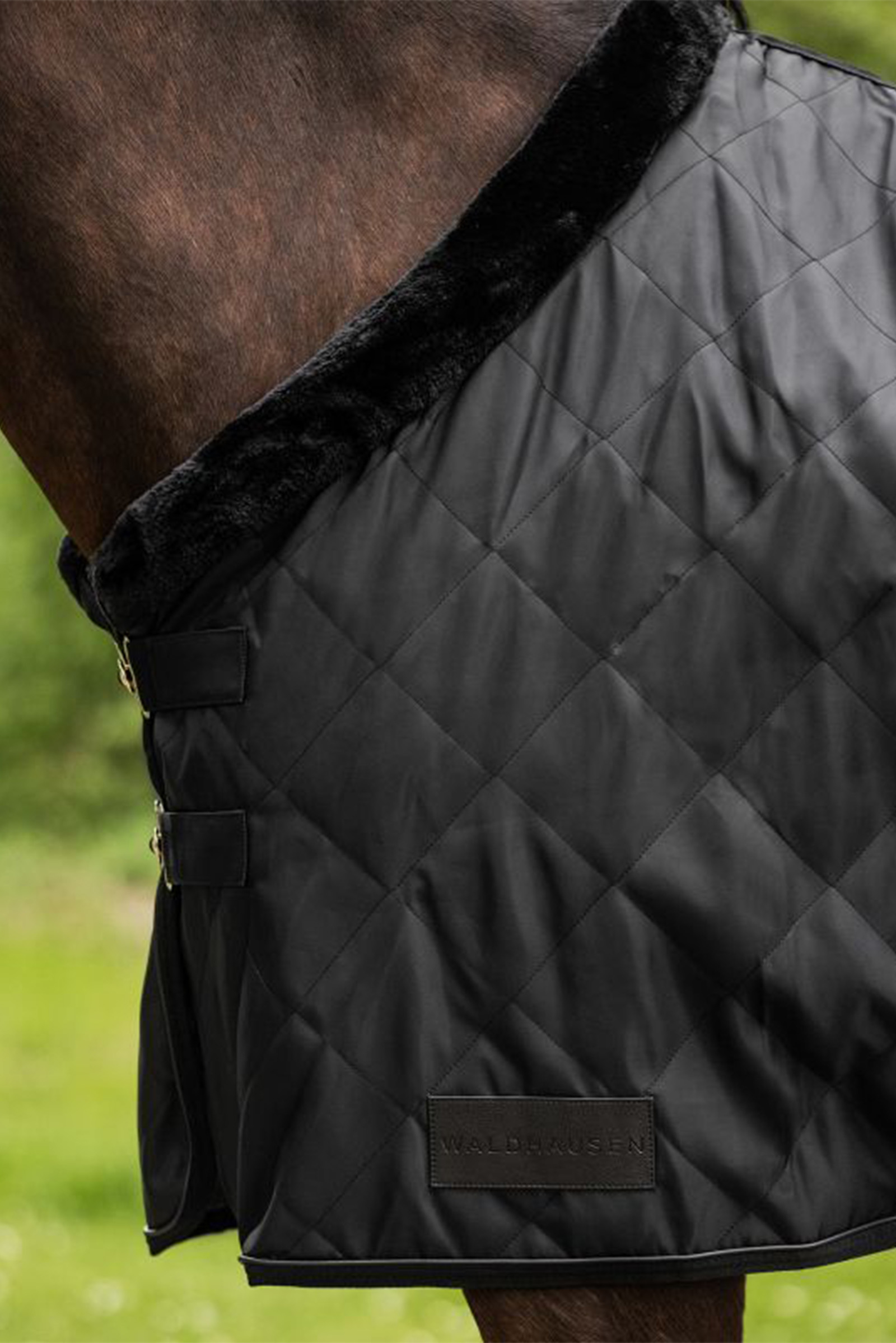 Waldhausen Exclusive Transportt&auml;cke, 50g