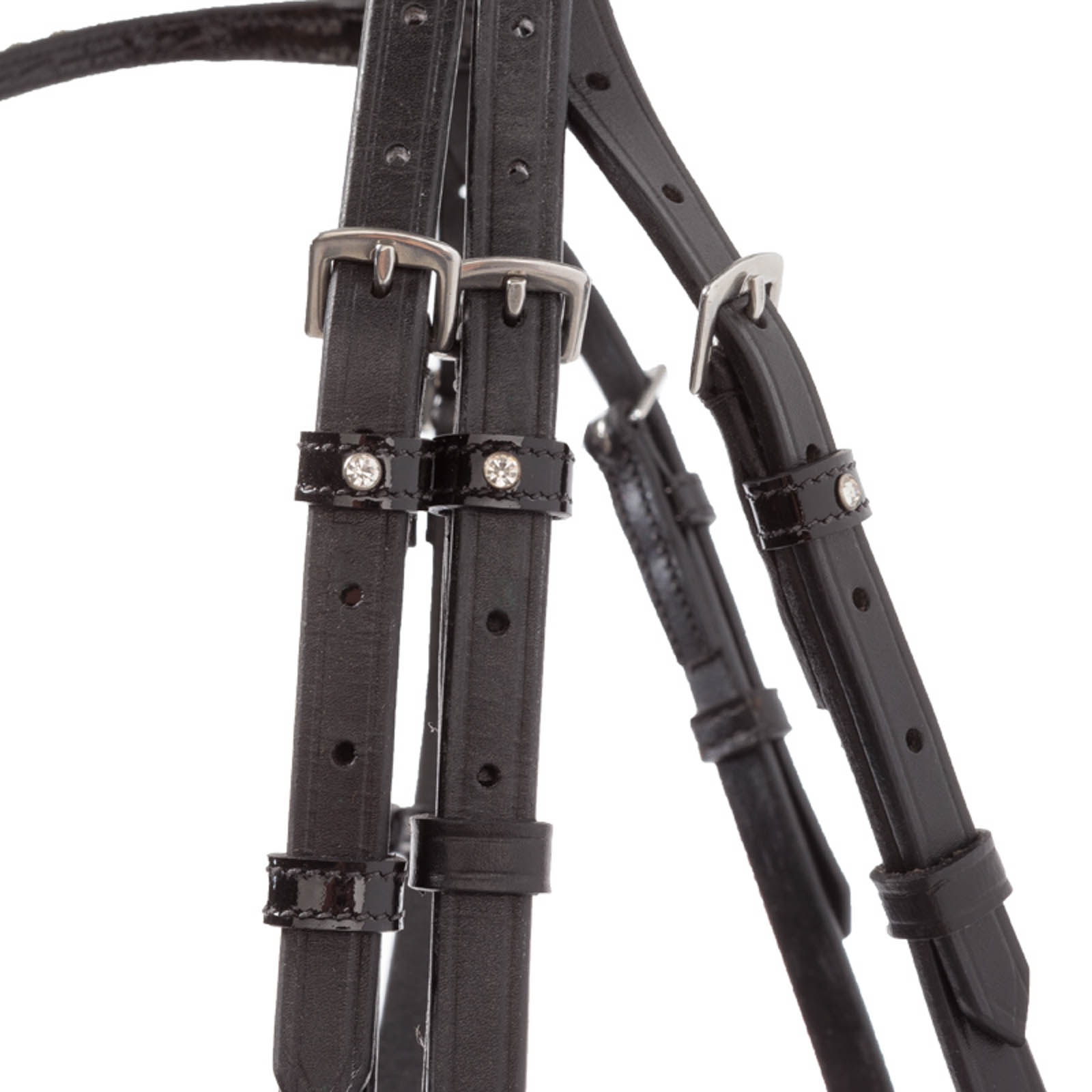 Kavalkade Reyna KavalSH4 träns